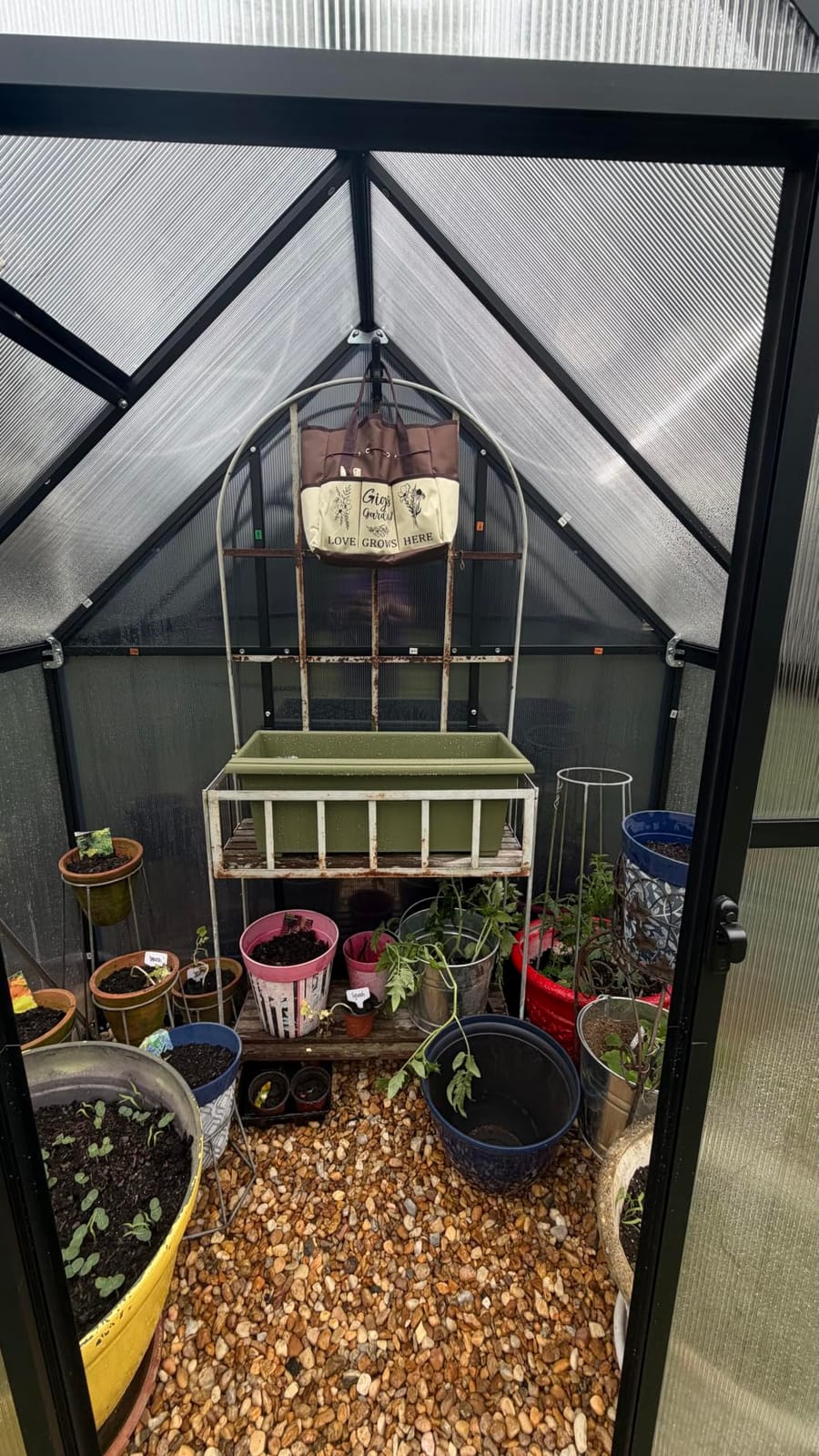 5.5X4FT Greenhouse with Thermometers, Small Greenhouse for Outdoors | Polycarbonate Green House for Outside with Lockable Hinged Door, Easy Assembly Walk-in Greenhouse with Roof Vent for Backyard customer photo 1