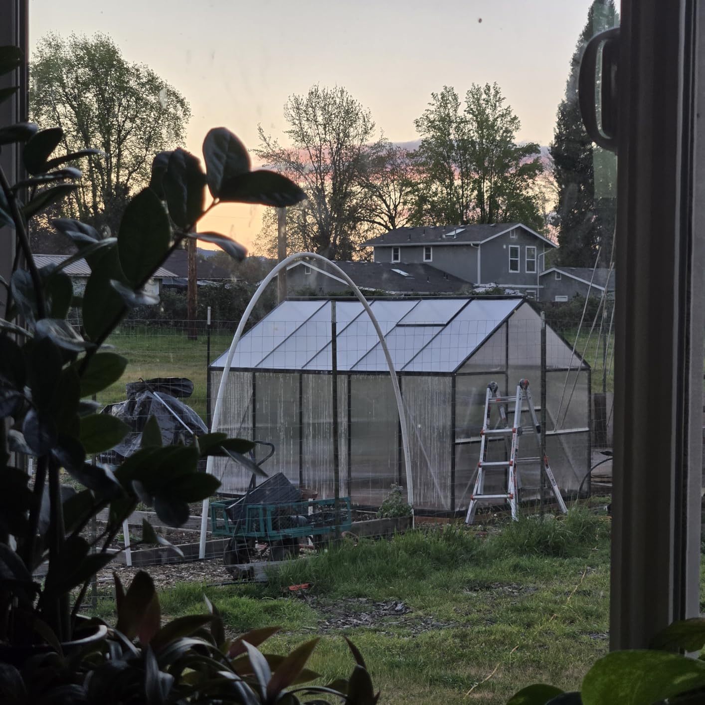 6x4FT Greenhouse with Hygrometer, Windproof Warm Plant Green Houses | Heavy Duty Aluminum Frame Polycarbonate Greenhouses with Vent Window for Backyard Garden Vegetables Flowers Herbs Growing customer photo 1