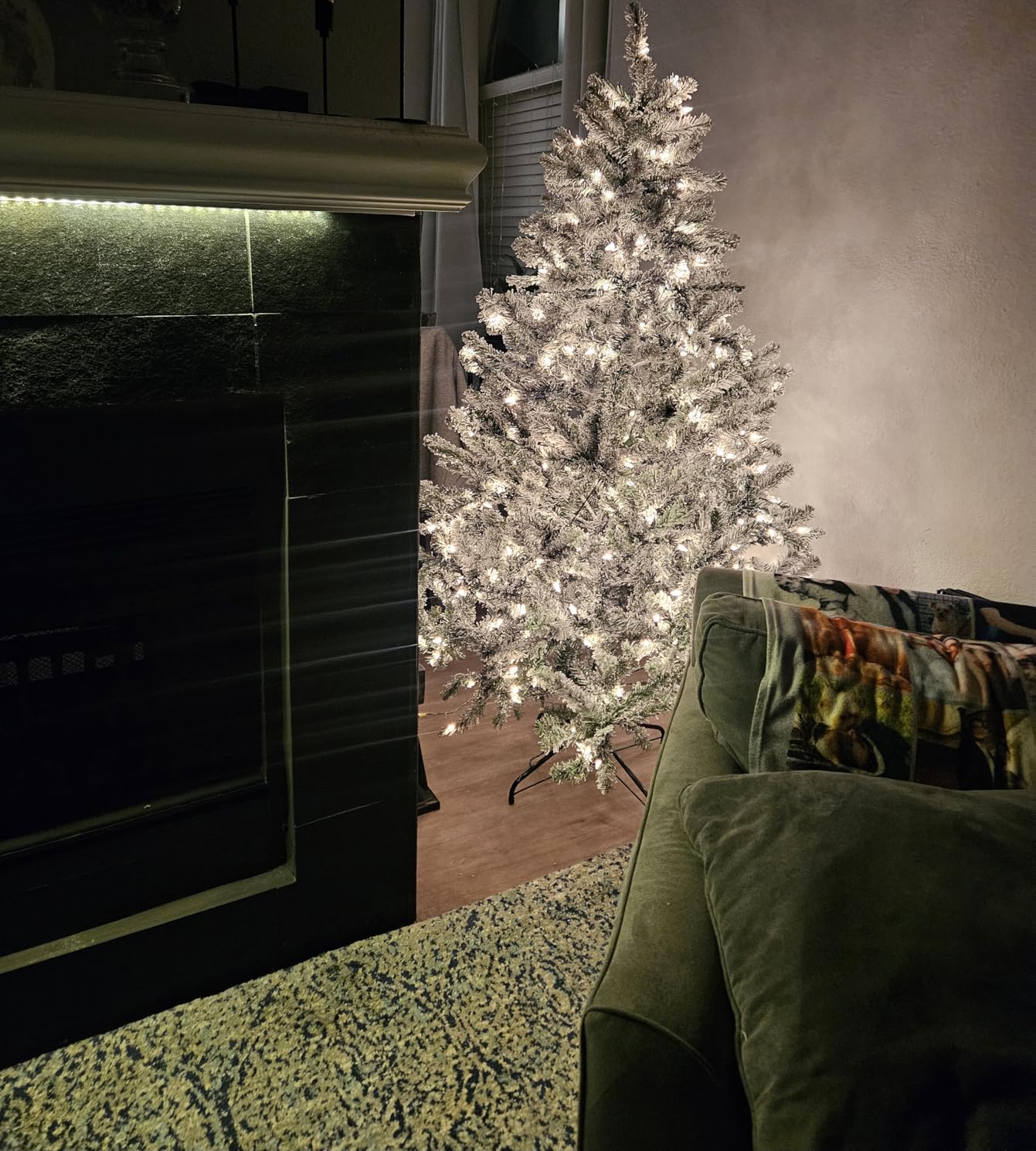 National Tree Company 7.5 ft Pre-Lit Flocked Acacia Artificial Christmas Tree, 550 Clear Lights, 1,300 Branch Tips, Includes Stand, Green customer photo 2