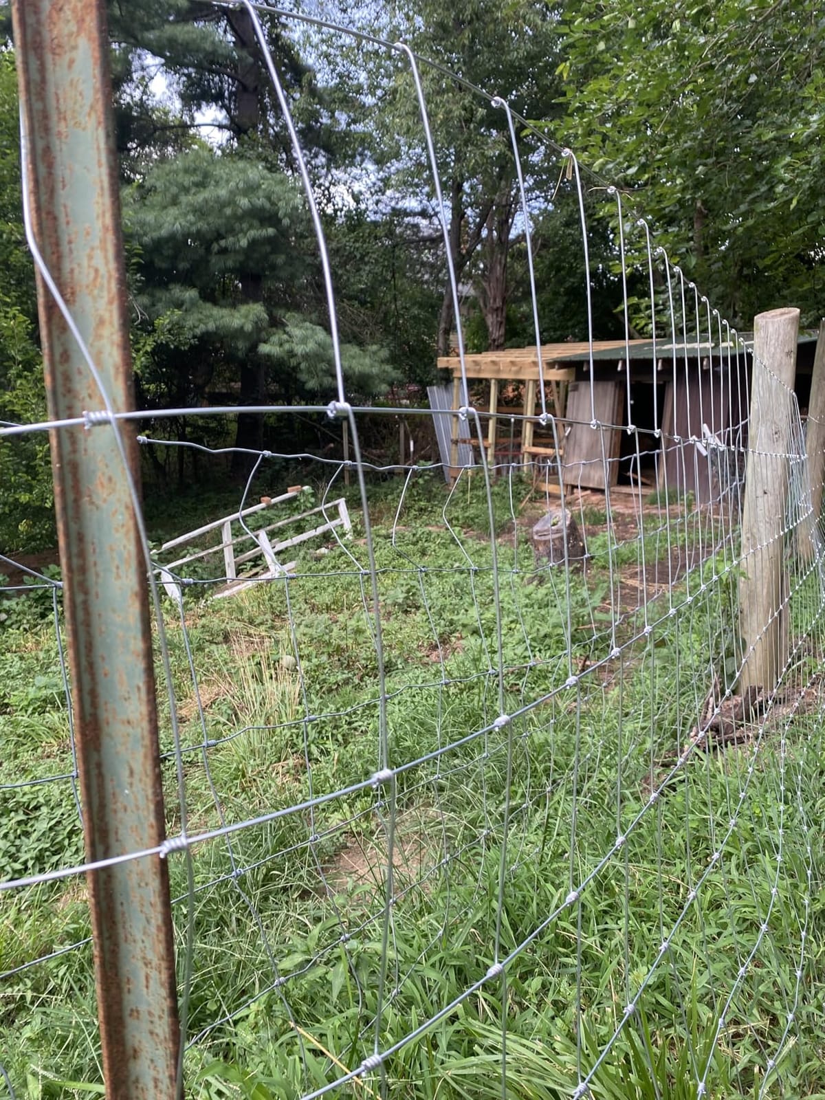 Farm Fence 6ft x 100ft Heavy Zinc Coating Field Wire Fencing, Galvanized Livestock Deer,Goat Fence,Hog Wire Fencing Used to Yard and Garden customer photo 1