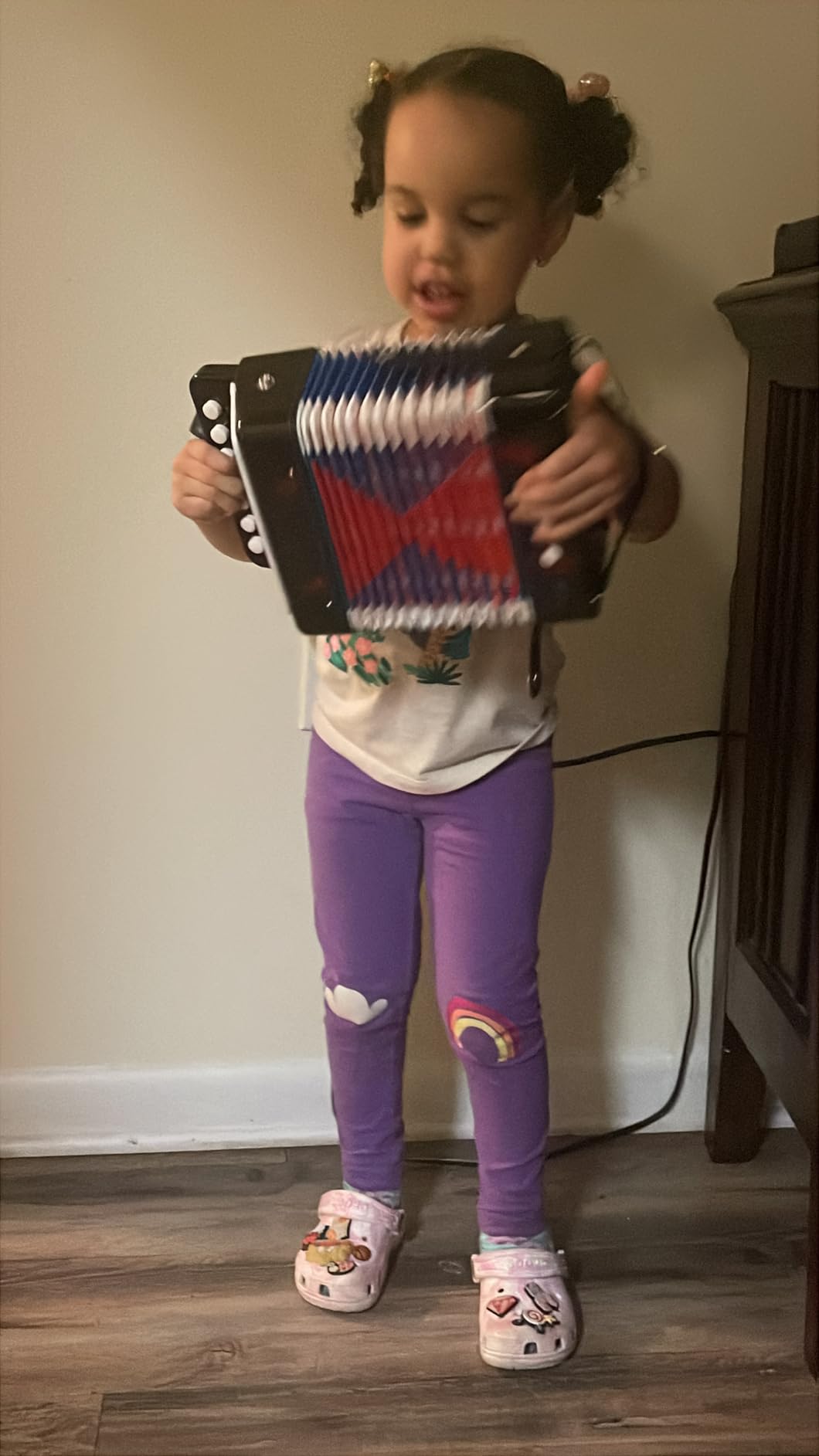 Lotkey 17 Key Piano Accordion, 8 Bass Kids Accordion, Celluloid Body, Metal Cover Accordions Louder Clearer Timbre Than Plastic, Lightweight Design for Children, Beginners to Practice (Red) customer photo 1