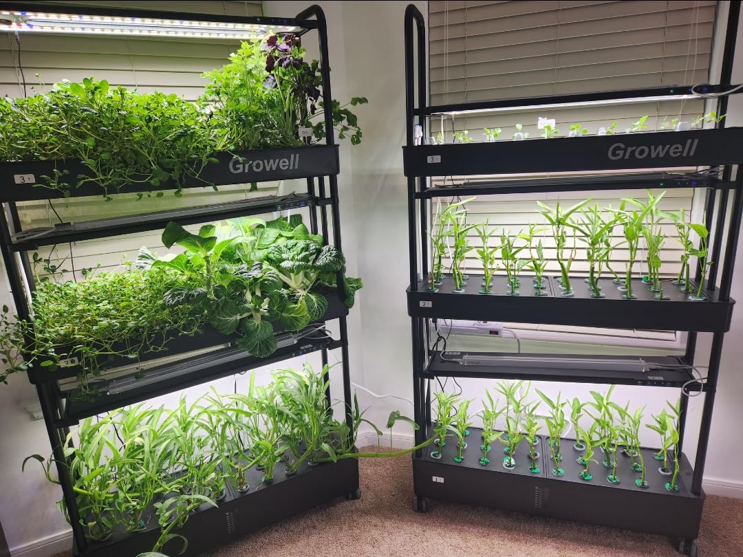 Growell Large Hydroponics Growing System Kit, 120 Pods Vertical Hydroponic Garden with 2 Light Modes Grow Light, Auto Circulating Water System, 48L Indoor Gardening System for Herb Vegetable Fruit customer photo 2