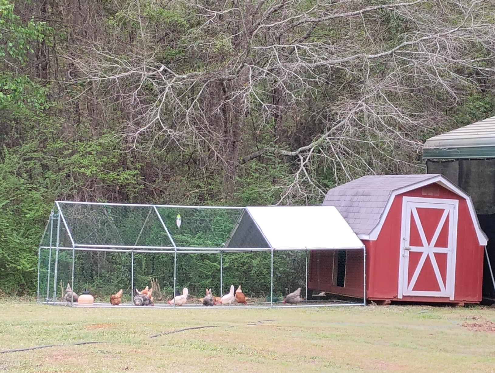 VEVOR Metal Chicken Coop, 6.56x6.56x6.56ft Large Walk-in Chicken Runs with Cover, Spire Roof Hen House Enclosure with Security Lock, Outdoor Duck Rabbit Cage Poultry Pen for Backyard, Farm, Yard customer photo 2