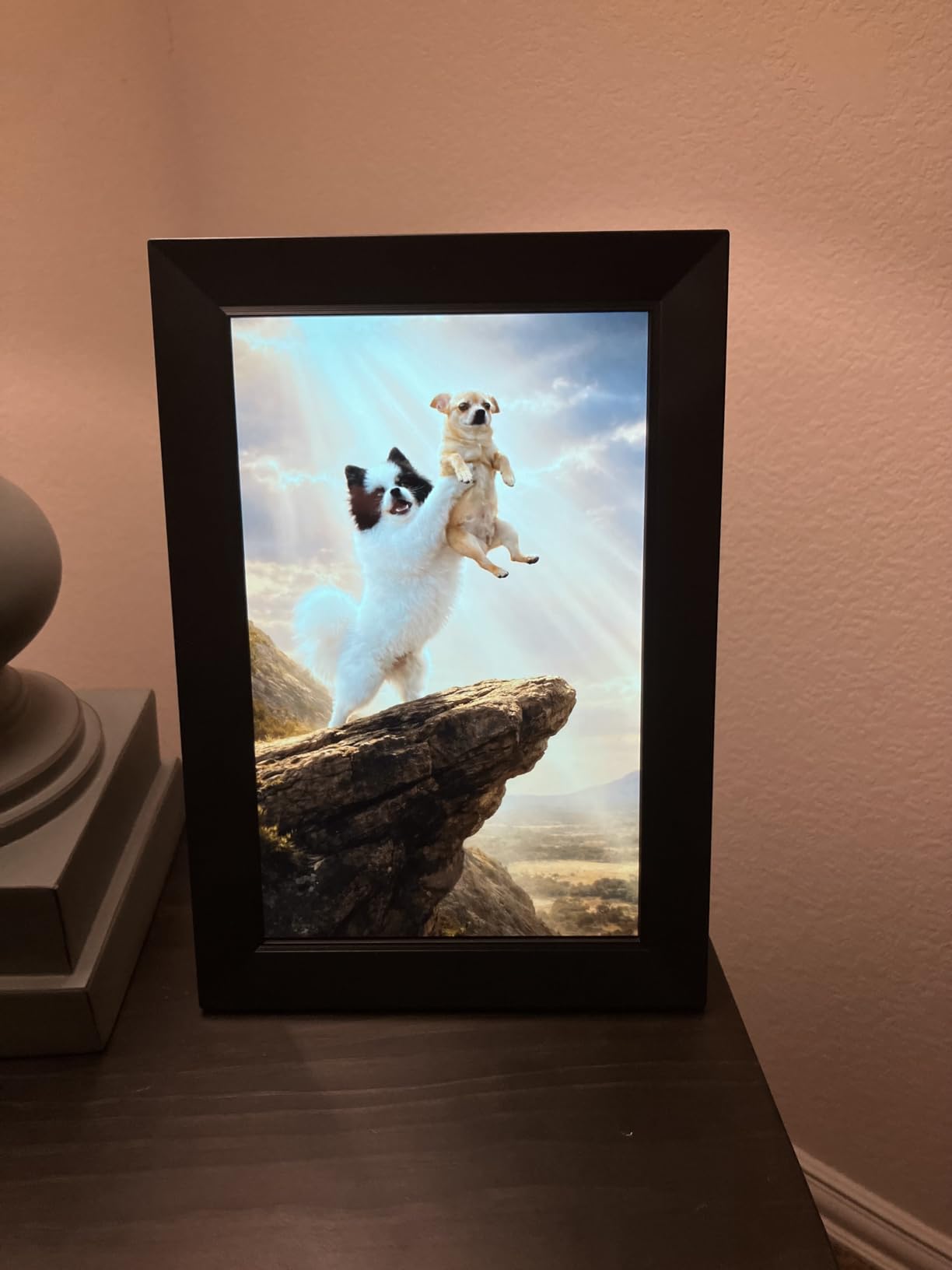 Frameo 10.1