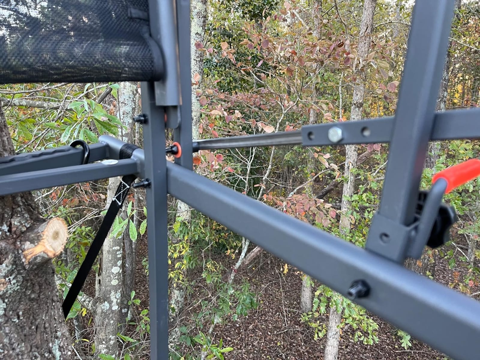 Guide Gear 15.5' Ladder Tree Stand for Hunting with Mesh Seat, Hunting Gear, Equipment, and Accessories customer photo 2