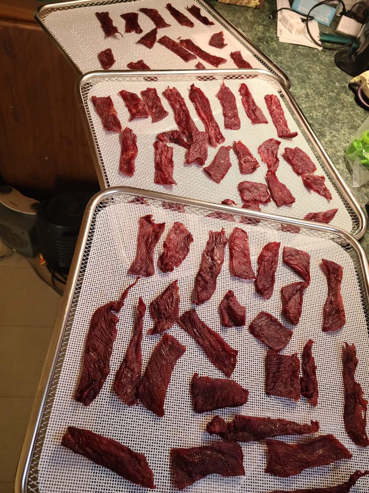 Commercial Food-Dehydrator Machine 16 Trays 27.28ft² Large Food Dryer 1500W customer photo 2