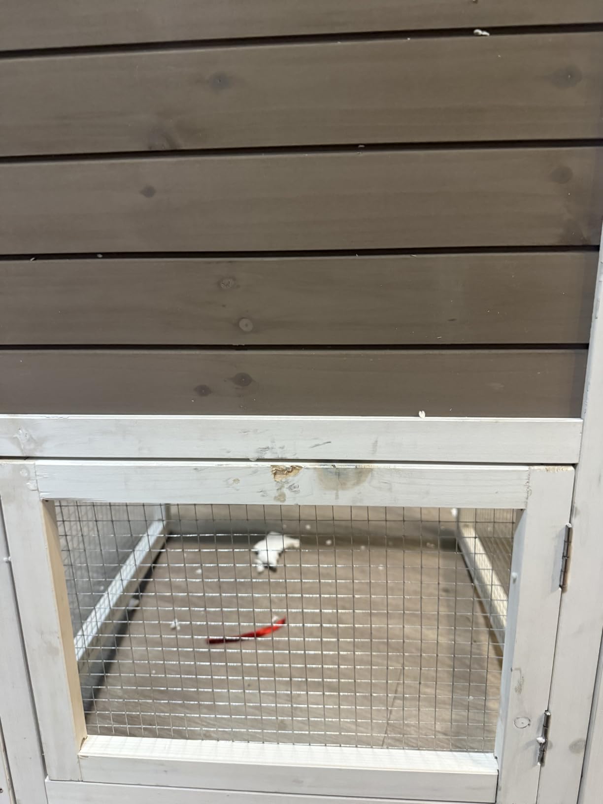Gutinneen 2-Story Rabbit Hutch with Chew-Proof Ramp & Leak-Proof Trays - Indoor/Outdoor 39.3