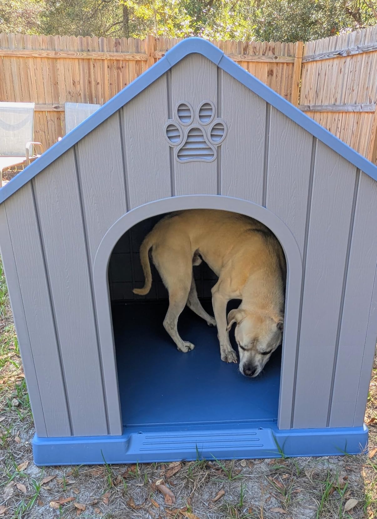DRATO Large Dog House Indoor Outdoor, Blue, 38.62x36.26x38.07 in | Waterproof, Puppy Shelter with Air Vents and Elevated Floor, Sturdy Dog Kennel for Small to Large Sized Dogs customer photo 2