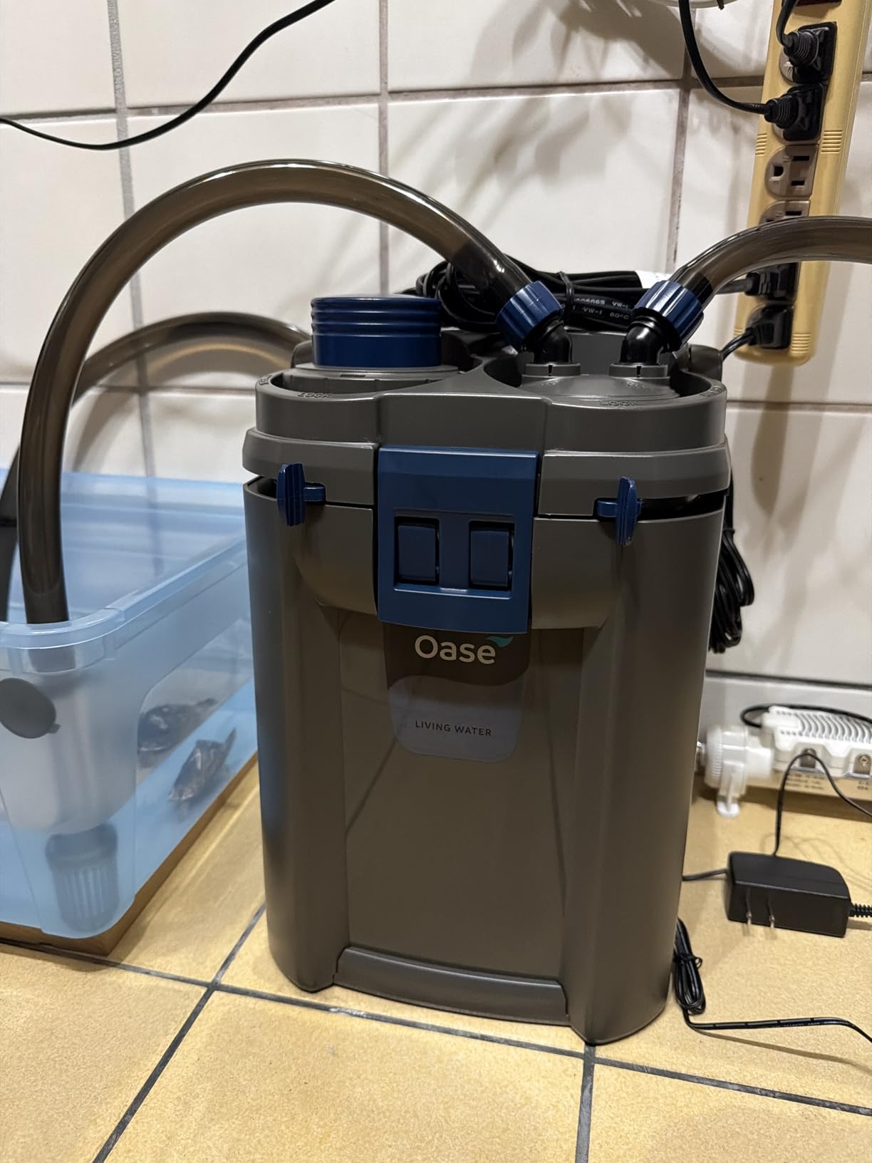 OASE BioMaster 2 Thermo 250 Canister Filter for Aquariums - External Aquarium Filter with Built-in Heater - EasyClean Pre-Filter, Quiet Operation - Freshwater & Saltwater, Up to 70 Gallons customer photo 2