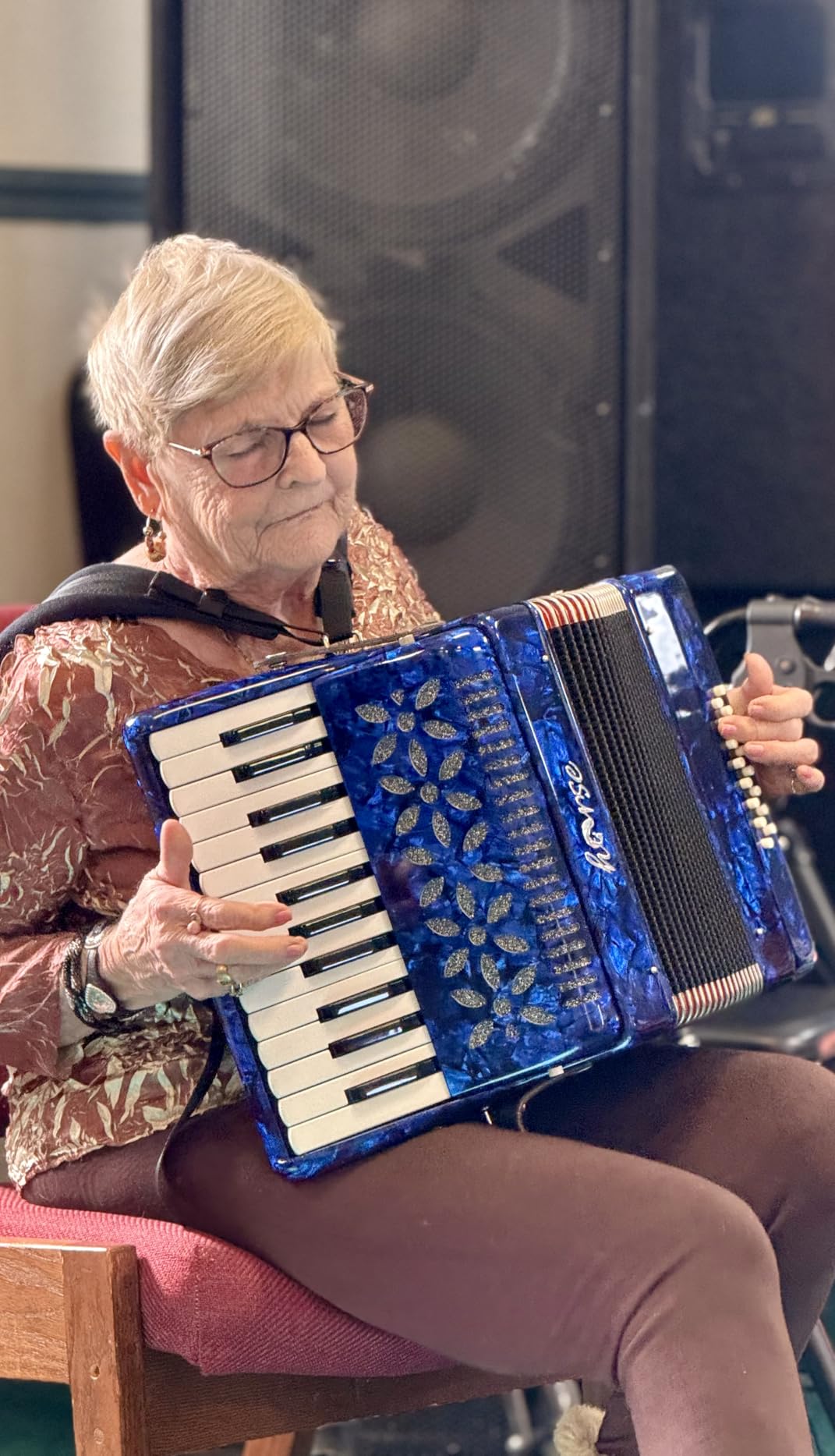 25 Keys Accordion, 16 Bass Piano Accordion Acordeón Acordeones Para Adultos for Beginner and Adults, Lightweight Portable with Adjustable Straps, Cleaning Cloth, Glove, and Carrying Bag (Black) customer photo 1