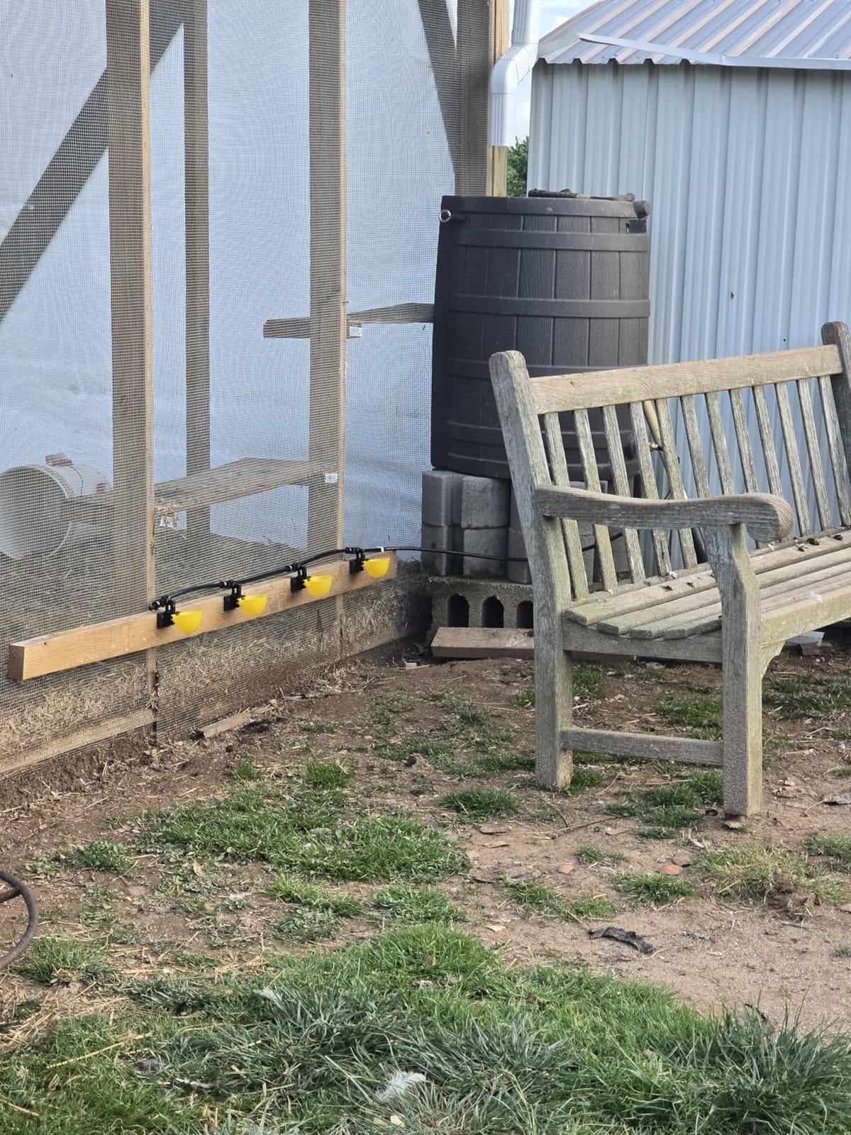 Automatic Chicken Water System, Complete Set with Large Water Cup, Pipeline | Innovative Quick-Connect Chicken Water System, Water Cups Removable and Washable, 18ft Pipeline and Float Valve, 6 Cups customer photo 2