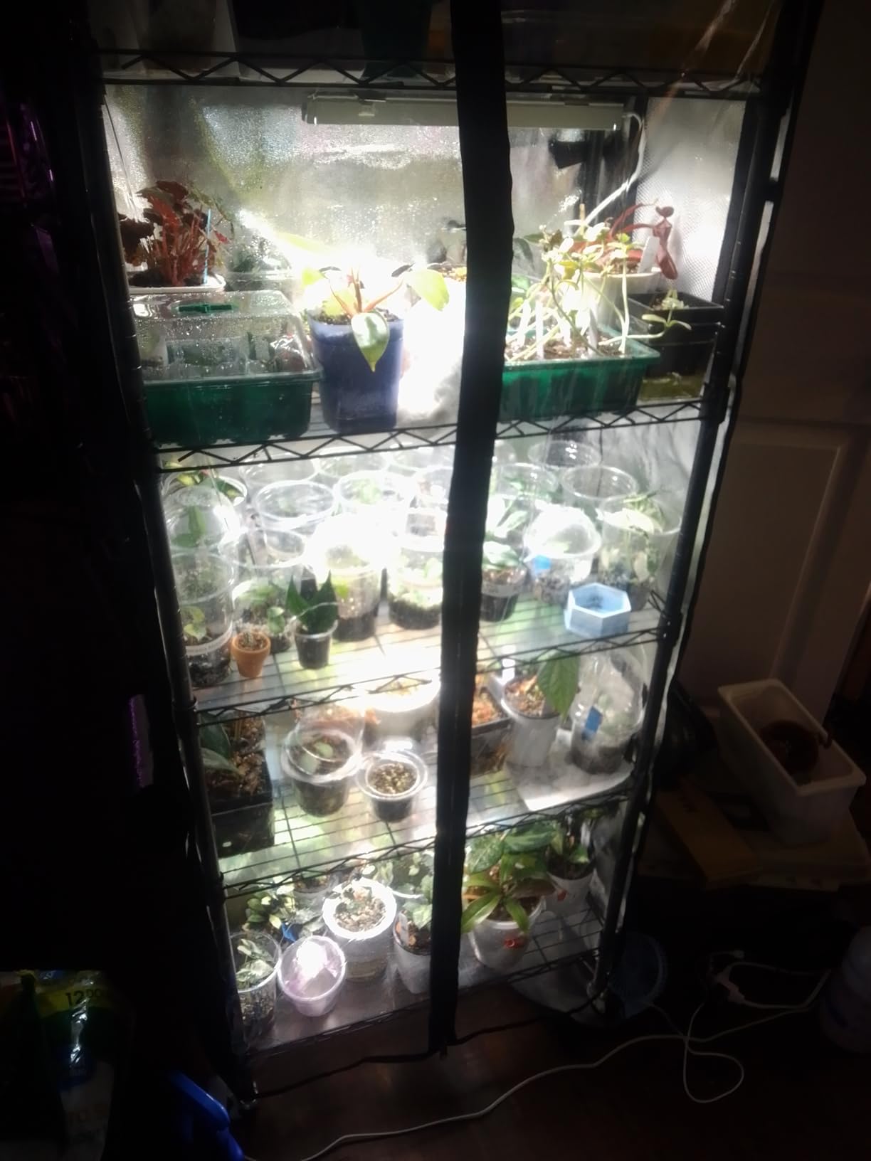 Small Greenhouse for Indoors, 5 Tier 23.1
