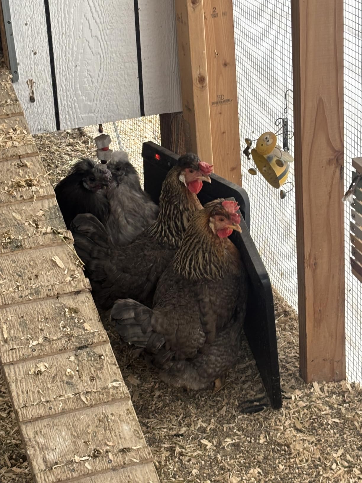 HOPOCO Smart Chicken Coop Heater with Efficient Thermostat, Compatible with Timers & Temp Controllers, 200W Safe Inside Radiant Flat Panel Warmer, Remote-Adjustable for Pets & Animals in Winter customer photo 1