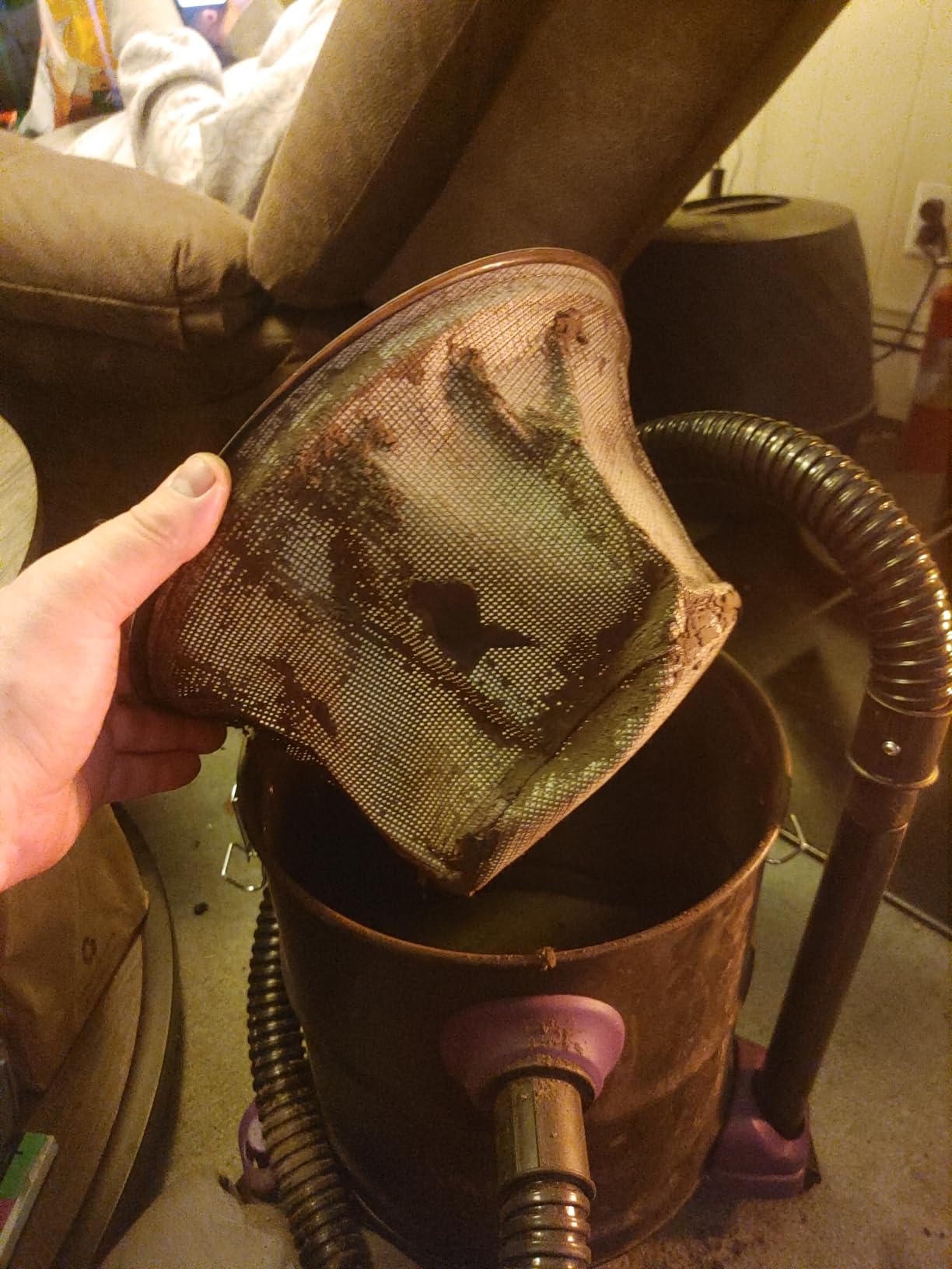 5.2 Gallon Ash Vacuum Cleaner with 1200W Suction, Green customer photo 2