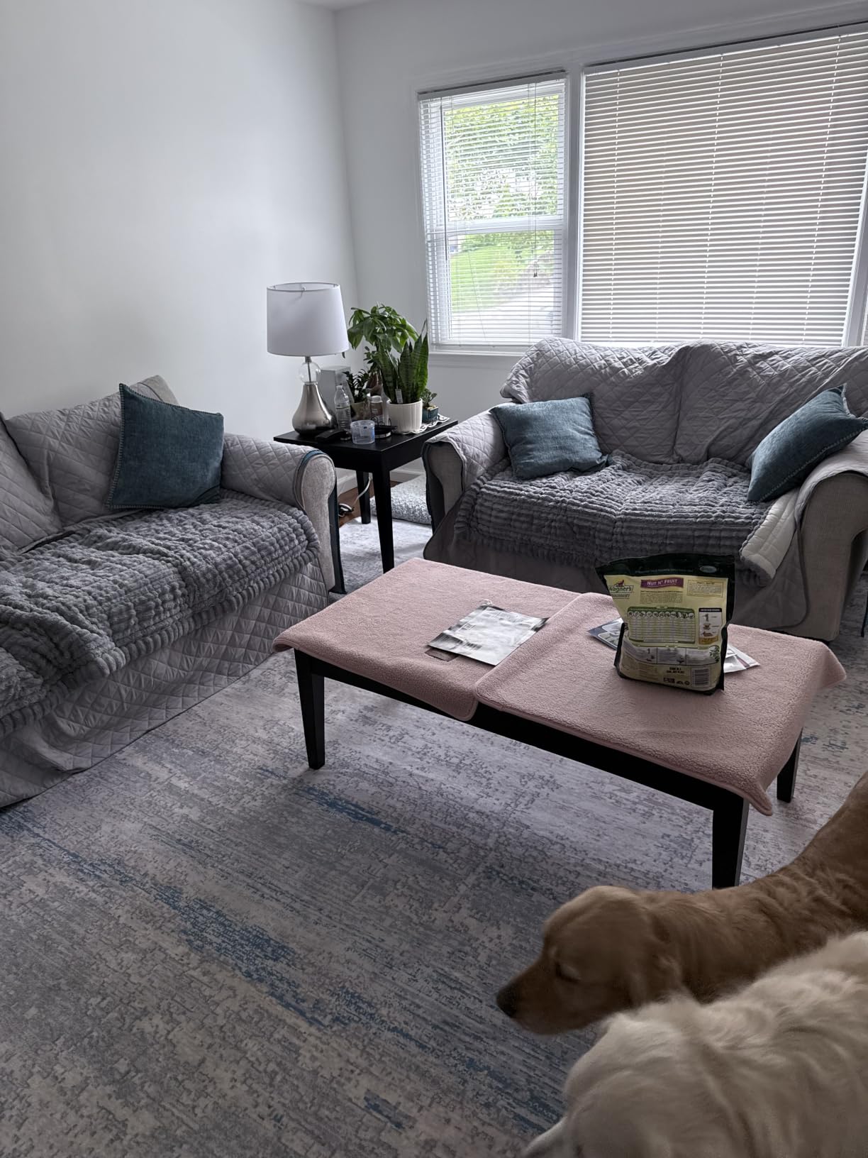Washable Rugs 8x10 Area Rugs for Living Room, Bedroom, Dining Room, Nursery | Ultra Soft,Low Pile,Machine Washable,Fade Resistant,Non-Slip&Non-Shedding,Modern Abstract Large Carpet for Home Office Decor customer photo 2