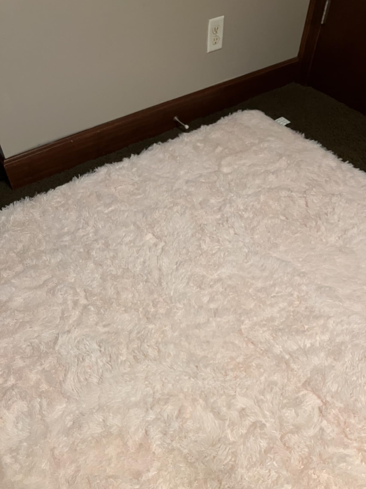 Amdrebio Burnt Orange Shag Plush Large Area Rug 6x9 for Living Room Bedroom | Fuzzy Shaggy Thick Big Rustic Carpet, Classroom Apartment Playroom Decor, Halloween, Baby Kids Toddler Corner, Dark Orange customer photo 1