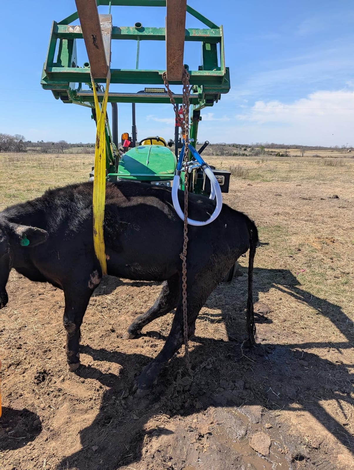 Cow Hip Lift 4410LB,Heavy-Duty Galvanized Steel Stand Assist Device with Non-Slip Rubber Clamp,OB Calving & Birthing Aid for Postpartum Recovery,Dystocia & Lame Cow (0-35.4