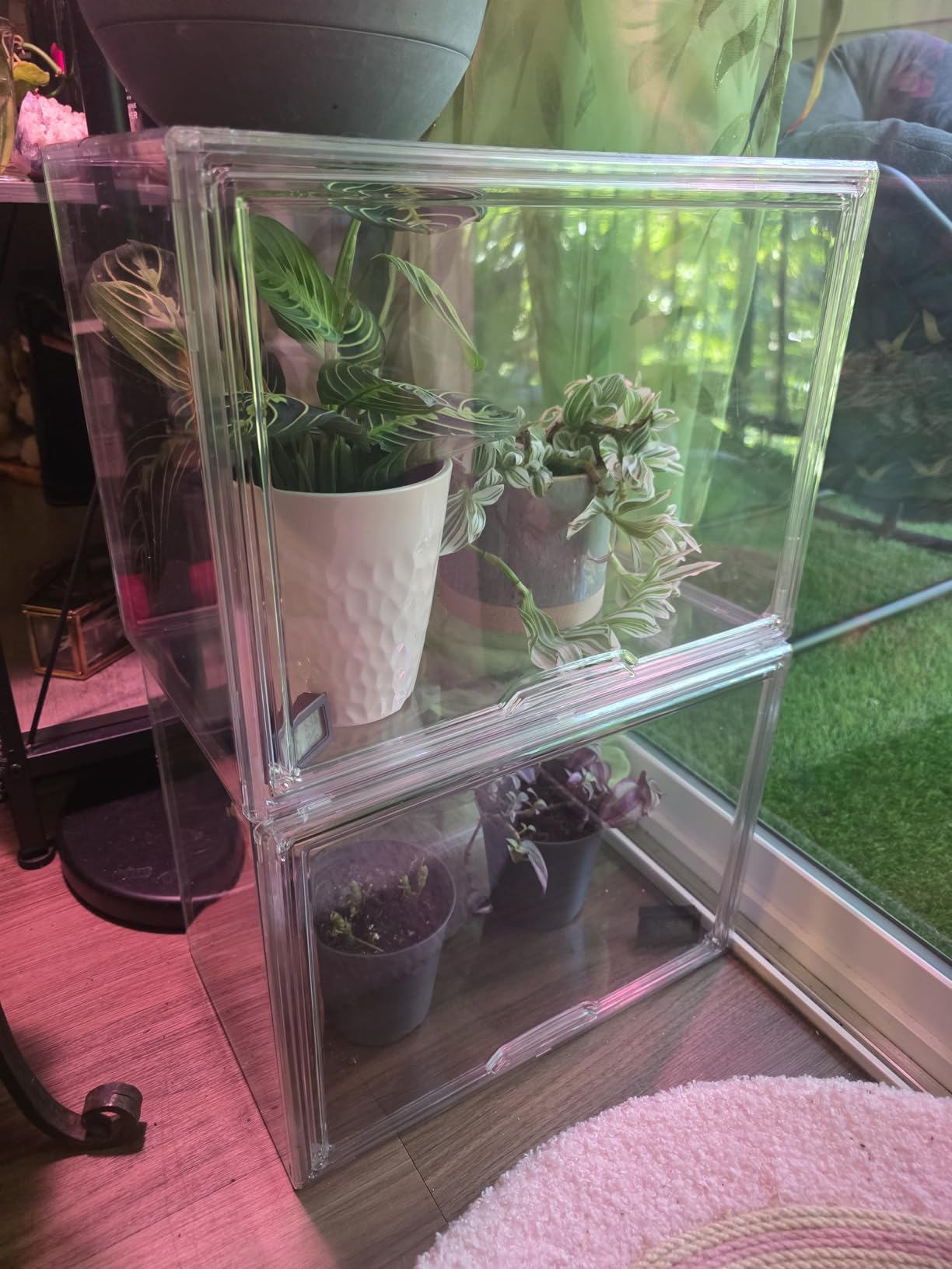 HBlife Mini Greenhouse for Indoor, Clear Stackable Green House with Magnetic Waterproof Door for Small Plants Nursery Germination and Display, Tabletop Portable Greenhouse, 14.1x8.6x10.6 Inch (1 Pack) customer photo 1