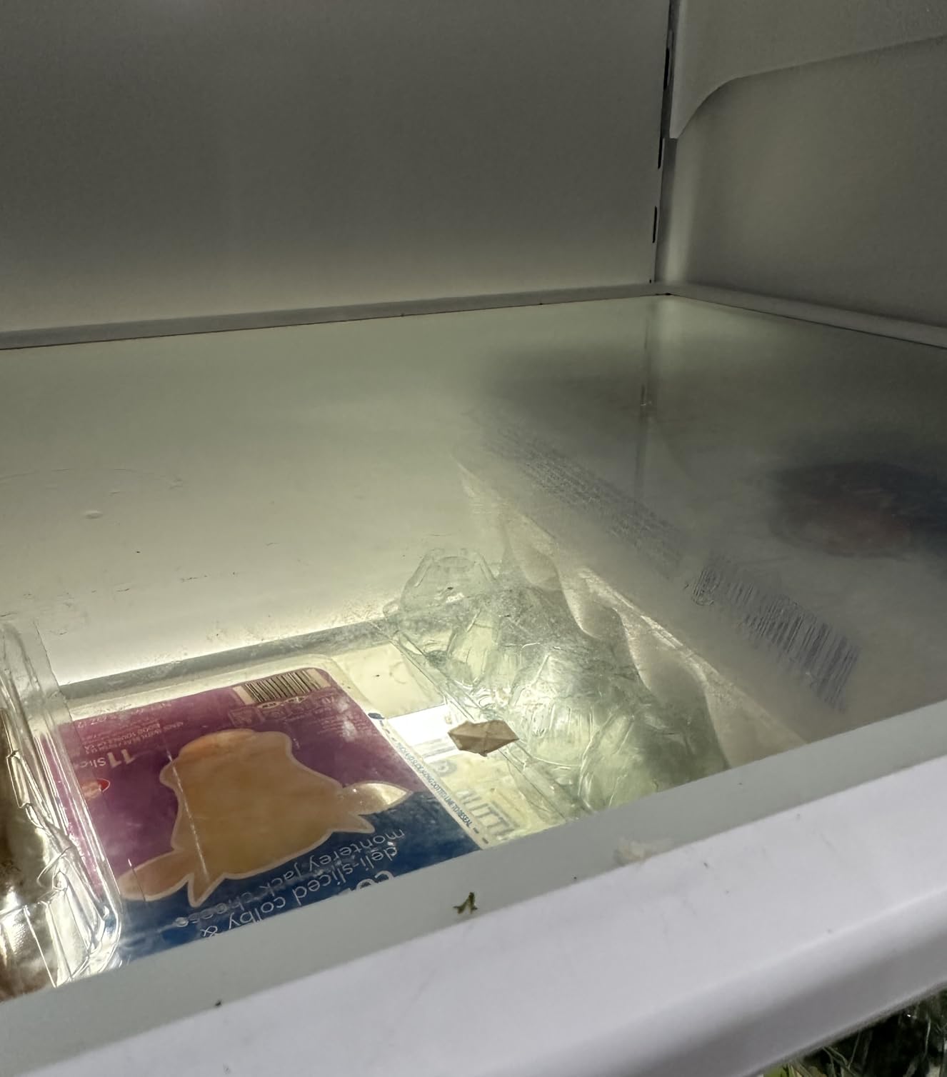 Oh Yuk Fridge Cleaner - Cleans Inside Refrigerator for Spotless, Food-Contact Safe Surfaces | Biodegradable, Vegan, Cruelty-Free | Effortlessly Lifts Sticky Messes & Dried-On Food | Spray Bottle customer photo 1