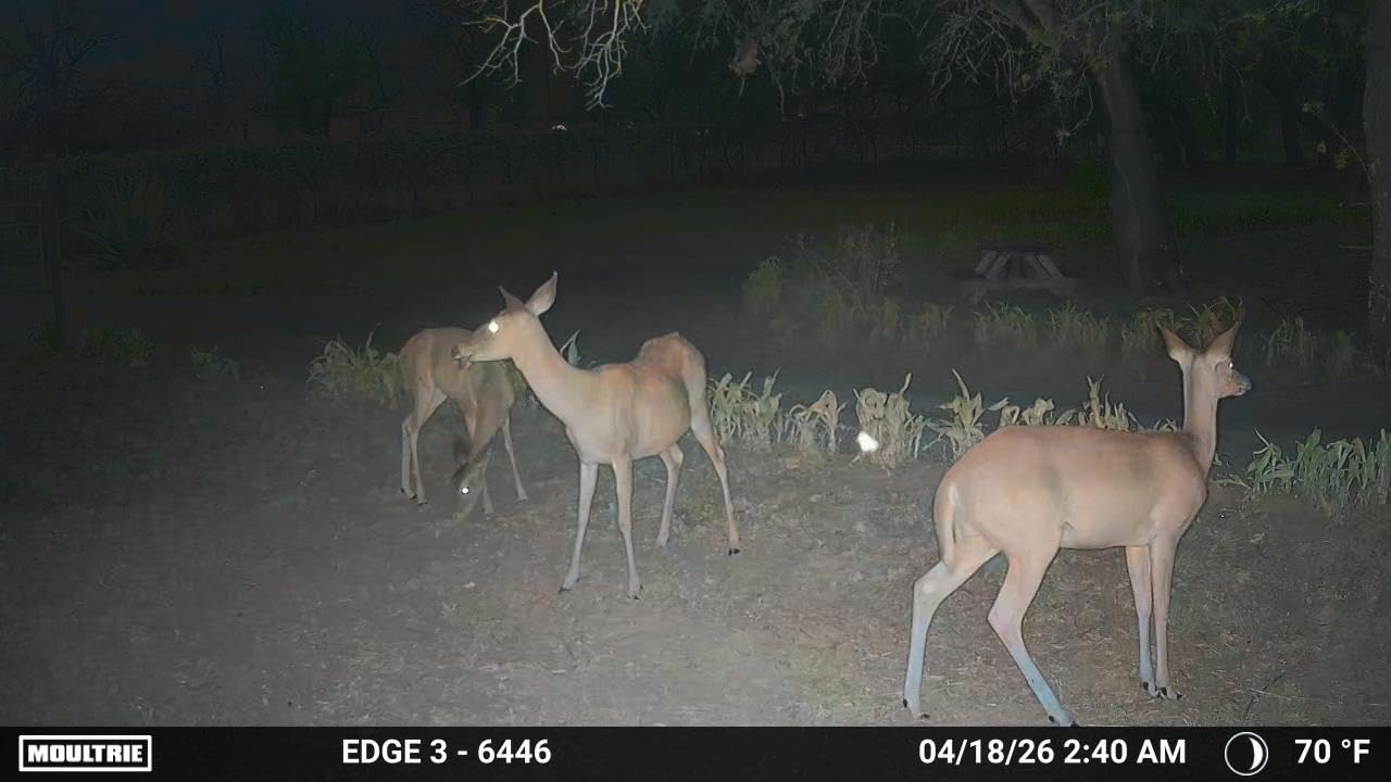 Moultrie Edge 3 Cellular Trail Camera - 40MP HD Photo Capture - 1080p Low-Glow Flash - GPS - Multi-Carrier Auto-Connect - Built-in Memory - 0.5s Trigger Speed - AI Buck Detection customer photo 1