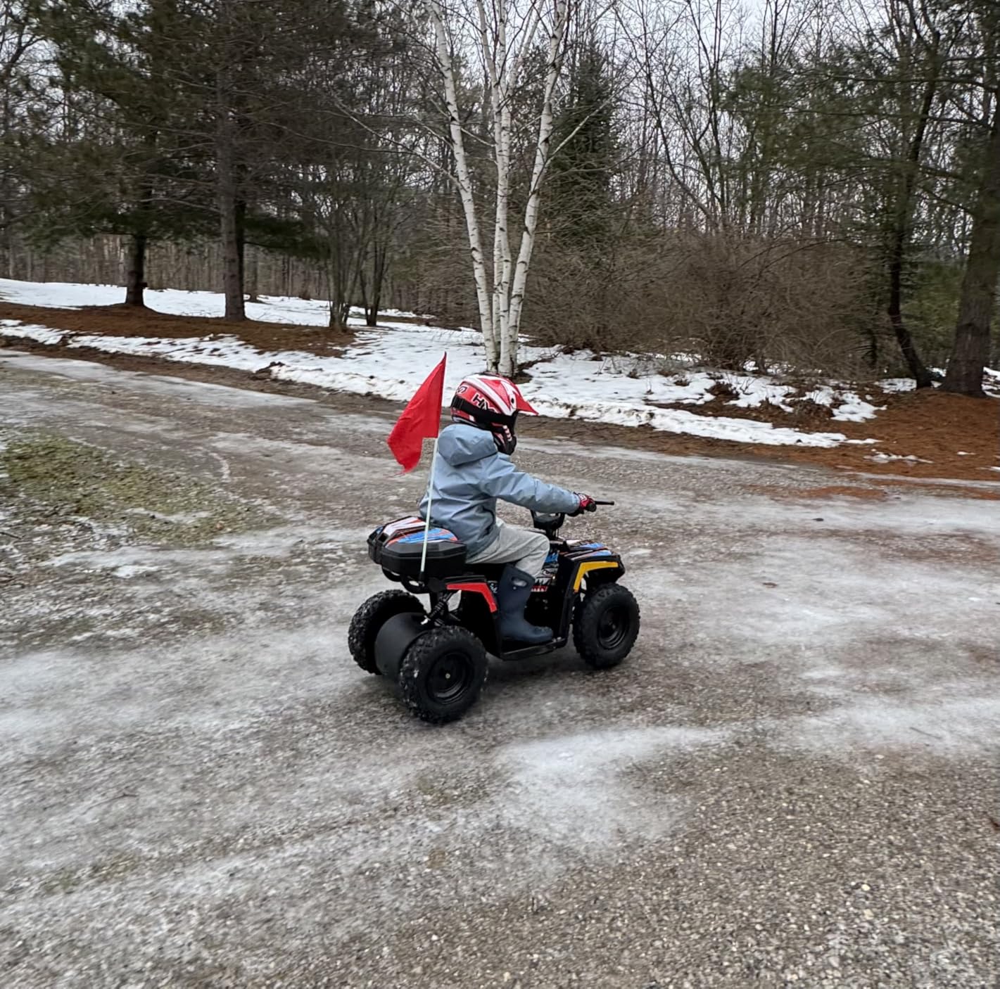 Droyd Animal Kids ATV for Ages 6+, 143 lb Capacity, 36V Electric 4 Wheeler with 500W Brushless Motor, LFP Battery, Dual Speed 10-15 MPH, Dual Suspension Disc Brake Quad Bike with Storage Case customer photo 1
