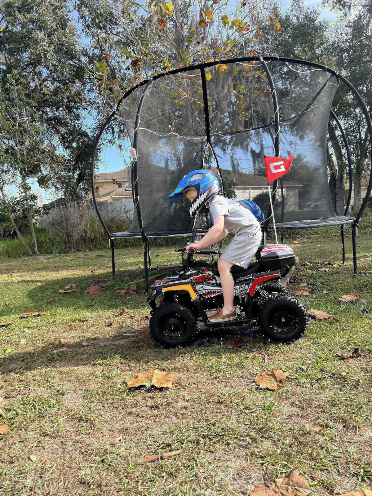 Droyd Animal Kids ATV for Ages 6+, 143 lb Capacity, 36V Electric 4 Wheeler with 500W Brushless Motor, LFP Battery, Dual Speed 10-15 MPH, Dual Suspension Disc Brake Quad Bike with Storage Case customer photo 2