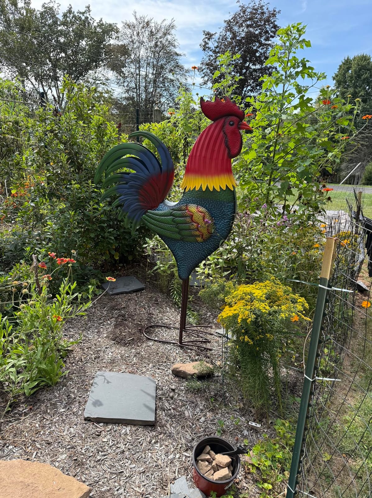 Backyard Expressions Rooster Décor Garden Statue - Chicken Yard Art Sculpture Outdoor - 63 Inch customer photo 2