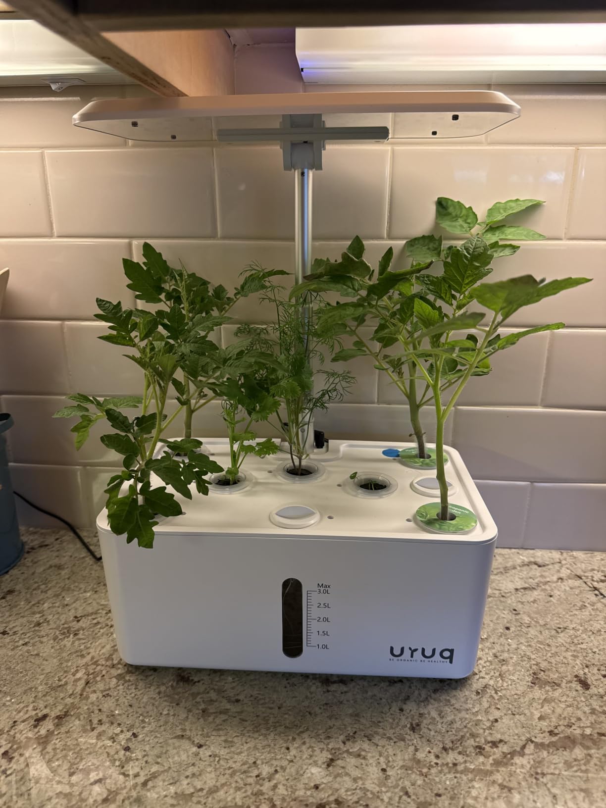 URUQ 8 Pods Hydroponics Growing System with LED Grow Light - Black | Quiet Water Pump, Automatic Timer, Adjustable Height for Fresh Herbs, Vegetables, Indoor Kitchen Gardening Gifts for Women customer photo 2