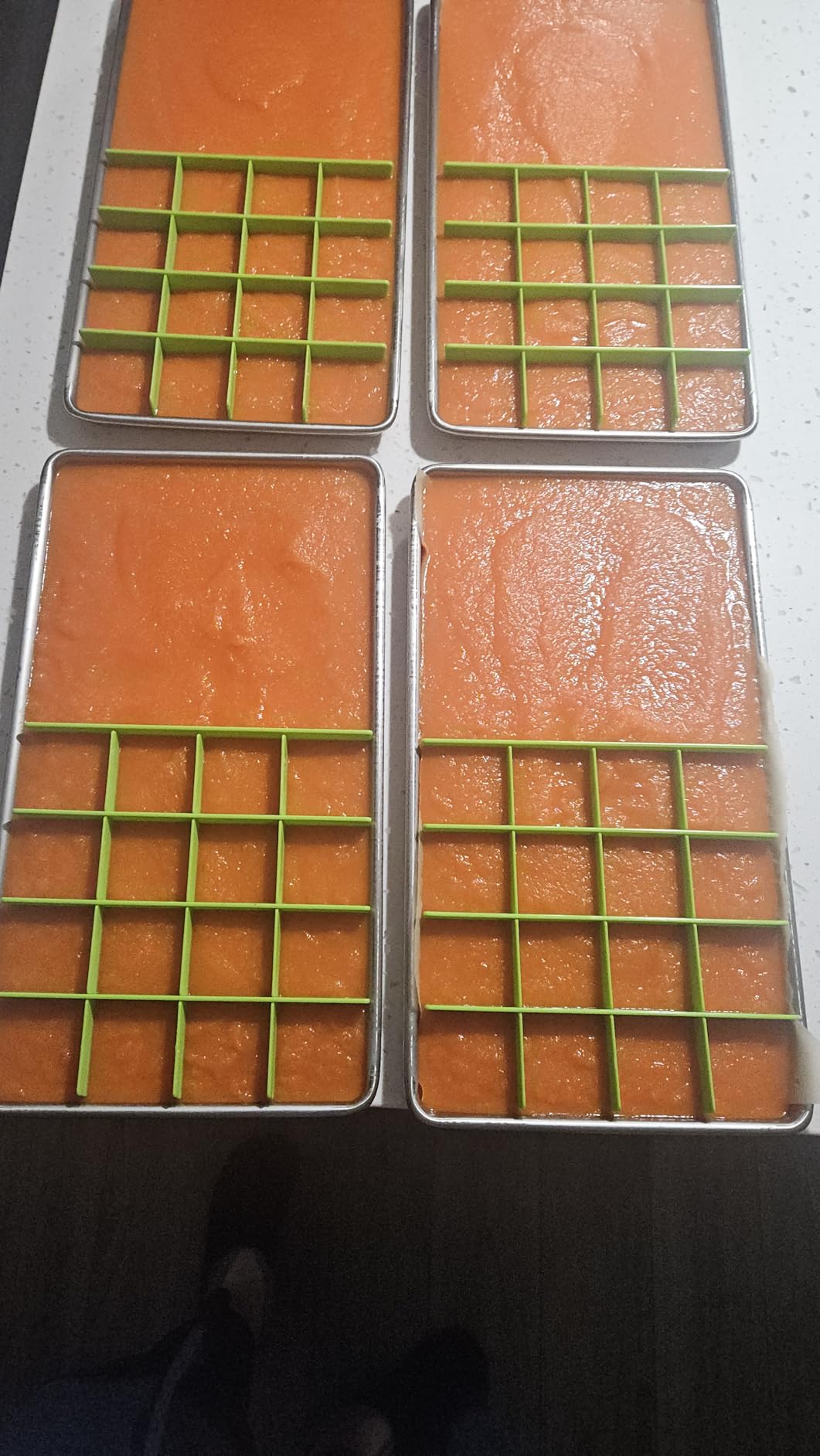 5 Sets Freeze Dryer Tray Dividers For Harvest Right Freeze Dryer Medium Trays. Adjustable Locking Grid for The Cube Freeze Dryer, Freeze Dryer Accessories customer photo 1