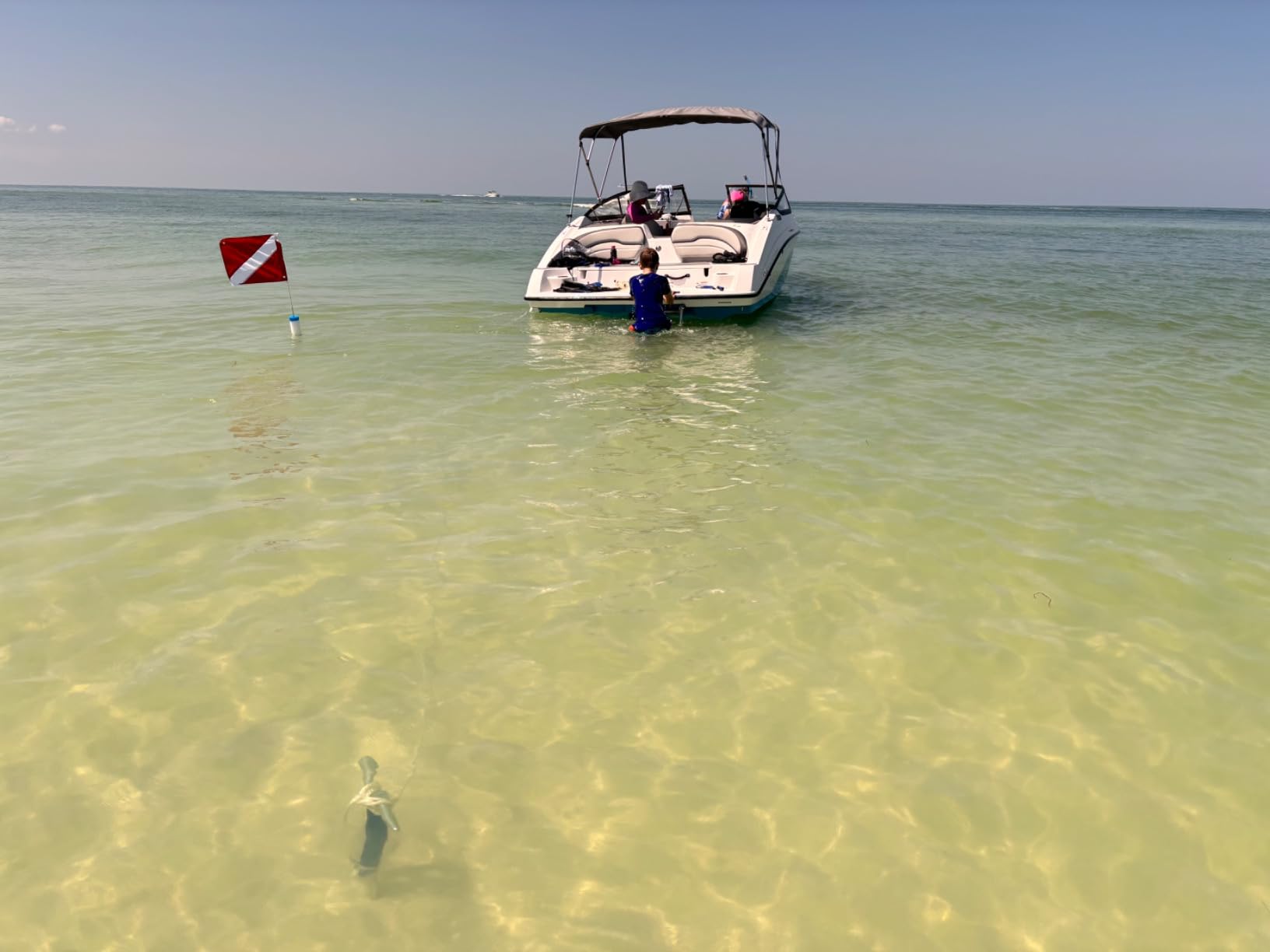SandShark Anchor - Premium Screw in Boat Anchor, Pontoon Boat Anchor, Stainless Steel Shallow Water Anchor Pole, Sand Anchor w/Case - Essential Pontoon Boat Accessories customer photo 2