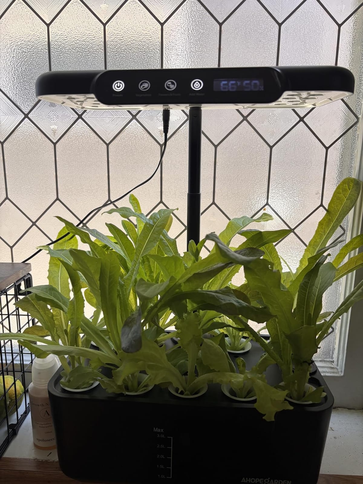 Ahopegarden Hydroponics Growing System: 10 Pods Temp & Humidity Display | Indoor Garden Kit with LED Grow Light for Lettuce and Tomatoes - Beginner-Friendly Plant Germination Kit for Home Kitchen customer photo 1