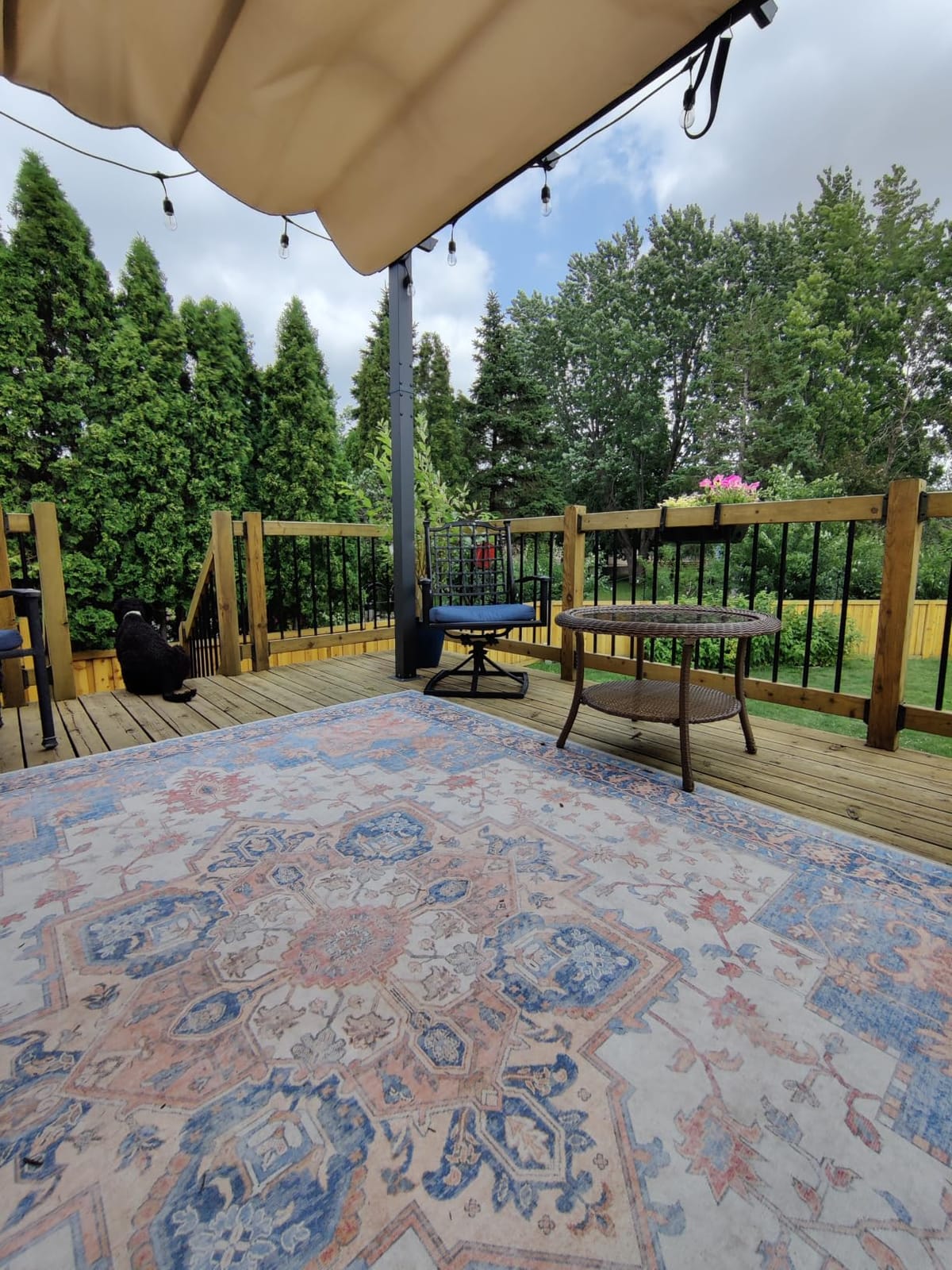 GENIMO 5x8 Outdoor Rug, Washable for Patio and Deck, Blue, Vintage Boho Medallion Chenille customer photo 1