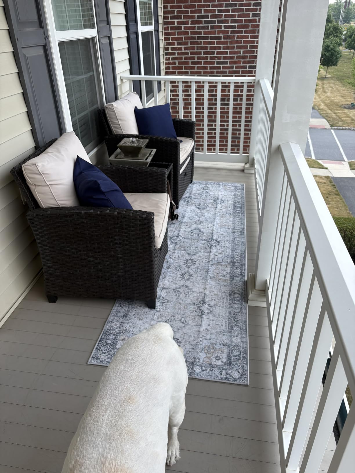 GENIMO 5x8 Outdoor Rug, Washable for Patio and Deck, Blue, Vintage Boho Medallion Chenille customer photo 2