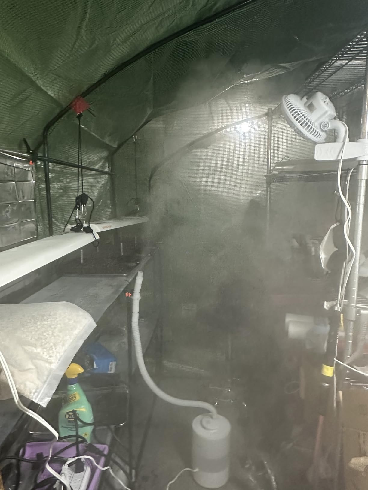 Grow Tent Humidifier 3L with Optional Single/Dual Extendable Hoses, Mechanical Control, Ultrasonic Fine Mist, Top Fill, Auto Shut-Off, for Greenhouse, Grow Room, Mushrooms & Indoor Plants customer photo 2