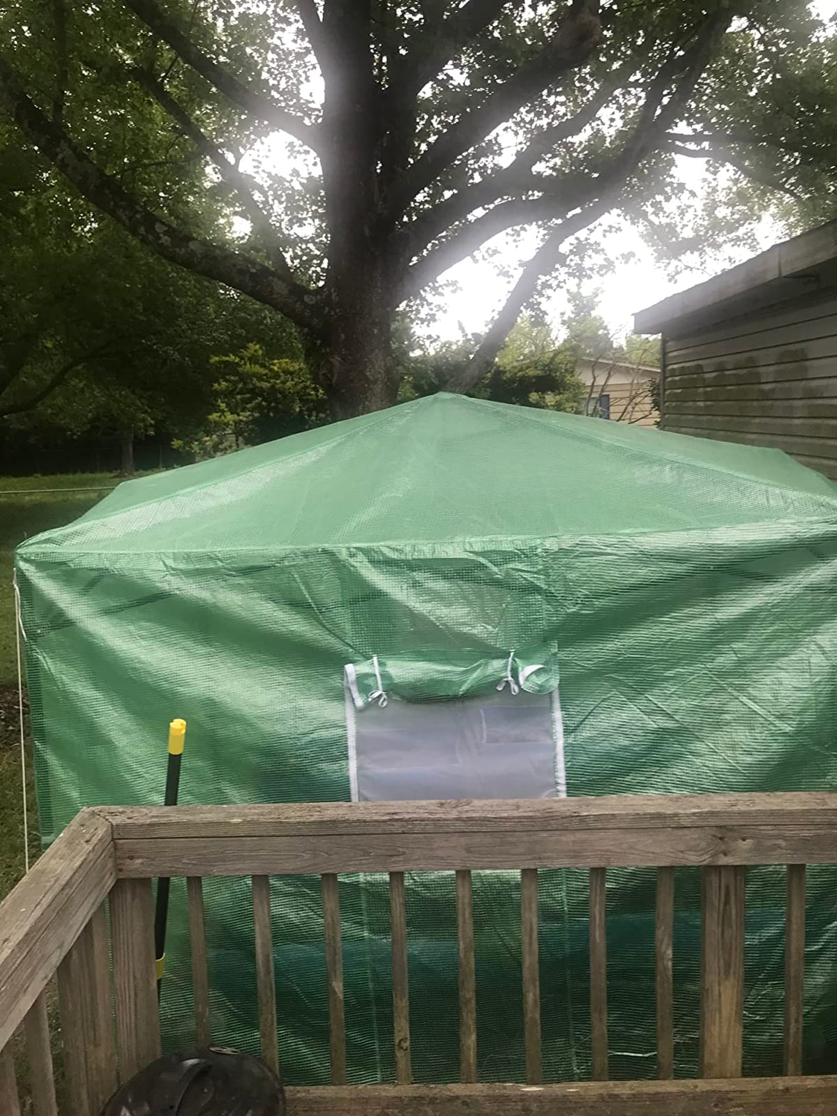 CROWN SHADES 12X8 Pop Up Outdoor Walk-in Portable Greenhouse, Green | Patented CenterLock One Push Instant Greenhouses, Heavy Duty with Durable PE Cover, 3 Adjustable Heights for Backyard Garden customer photo 1