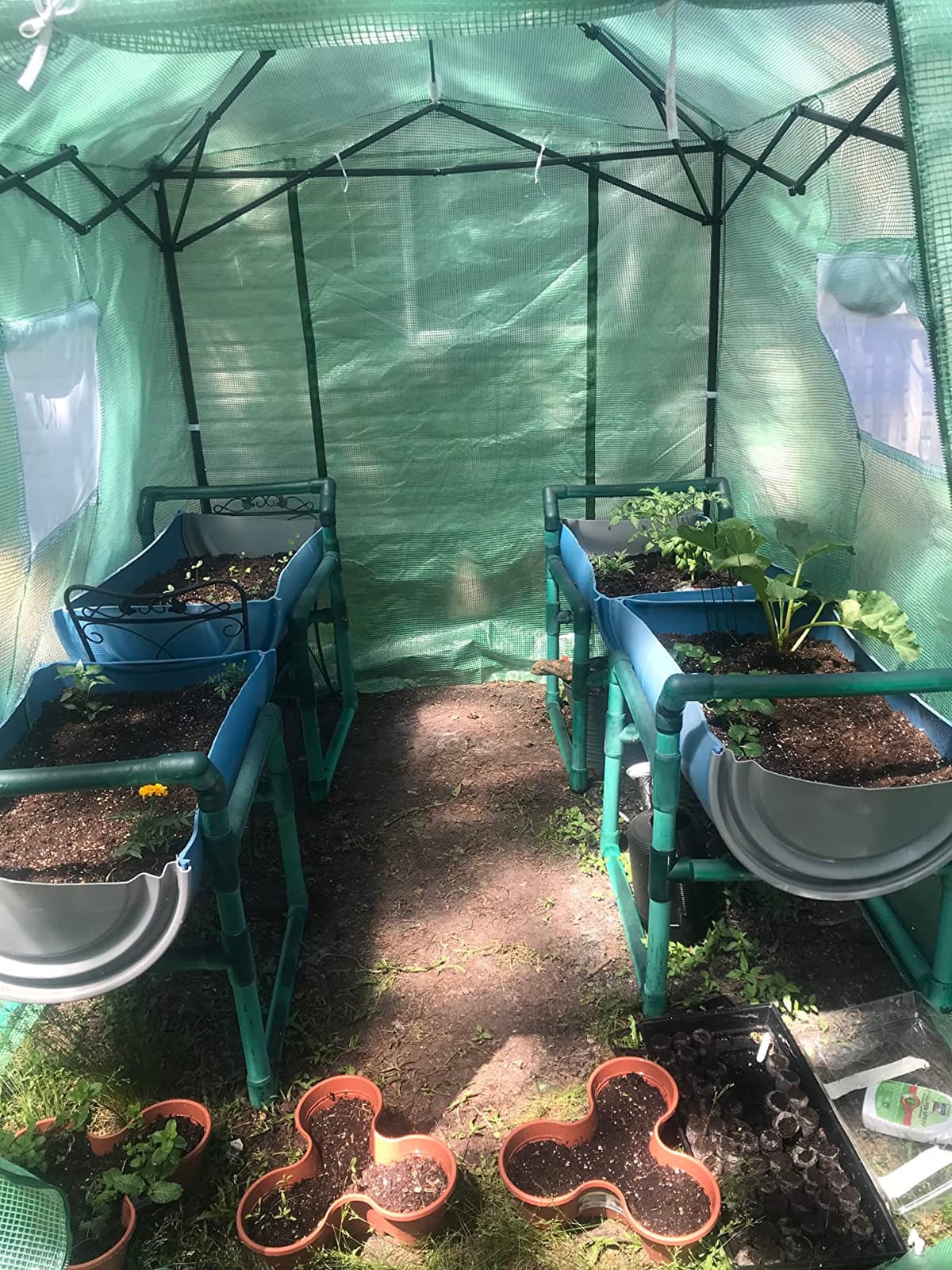 CROWN SHADES 12X8 Pop Up Outdoor Walk-in Portable Greenhouse, Green | Patented CenterLock One Push Instant Greenhouses, Heavy Duty with Durable PE Cover, 3 Adjustable Heights for Backyard Garden customer photo 2