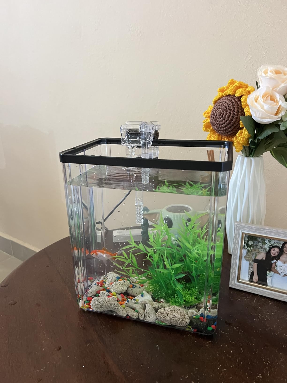 1.8 Gallon Beta Fish Tank Aquariums Kits - Clear Small Fish Bowl Starter Kit with LED Light, Water Filter Pump, Hydroponic Basket - Beginner's Gift for Guppy Shrimp Goldfish, Rectangular customer photo 1