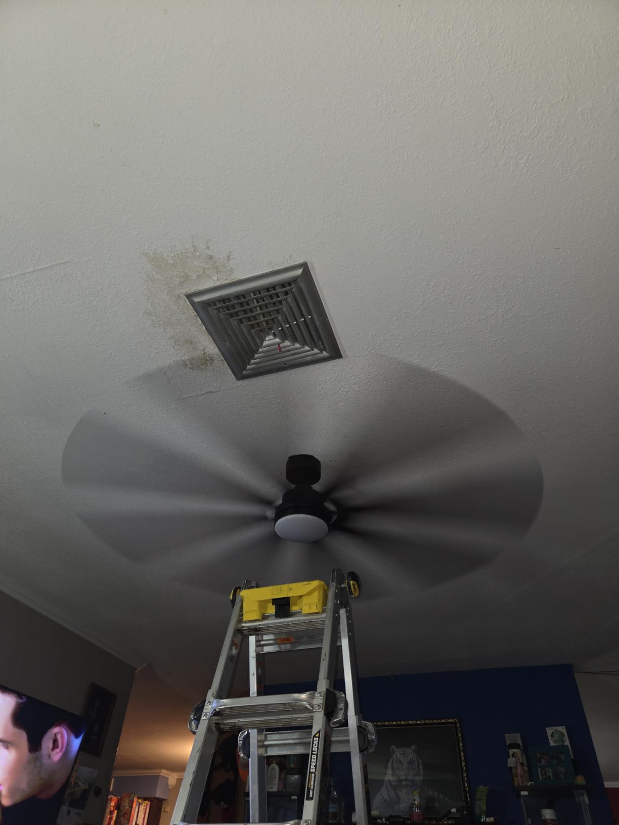 Fanbulous 72 Inch Ceiling Fans with Lights DC Motor, Remote & APP Control | Damp Rated, Dimmable, 3CCT, Memory Function, Dual-Sided Reversible Blades, Flat/Sloped Ceiling, Living Room, Covered Patio customer photo 1