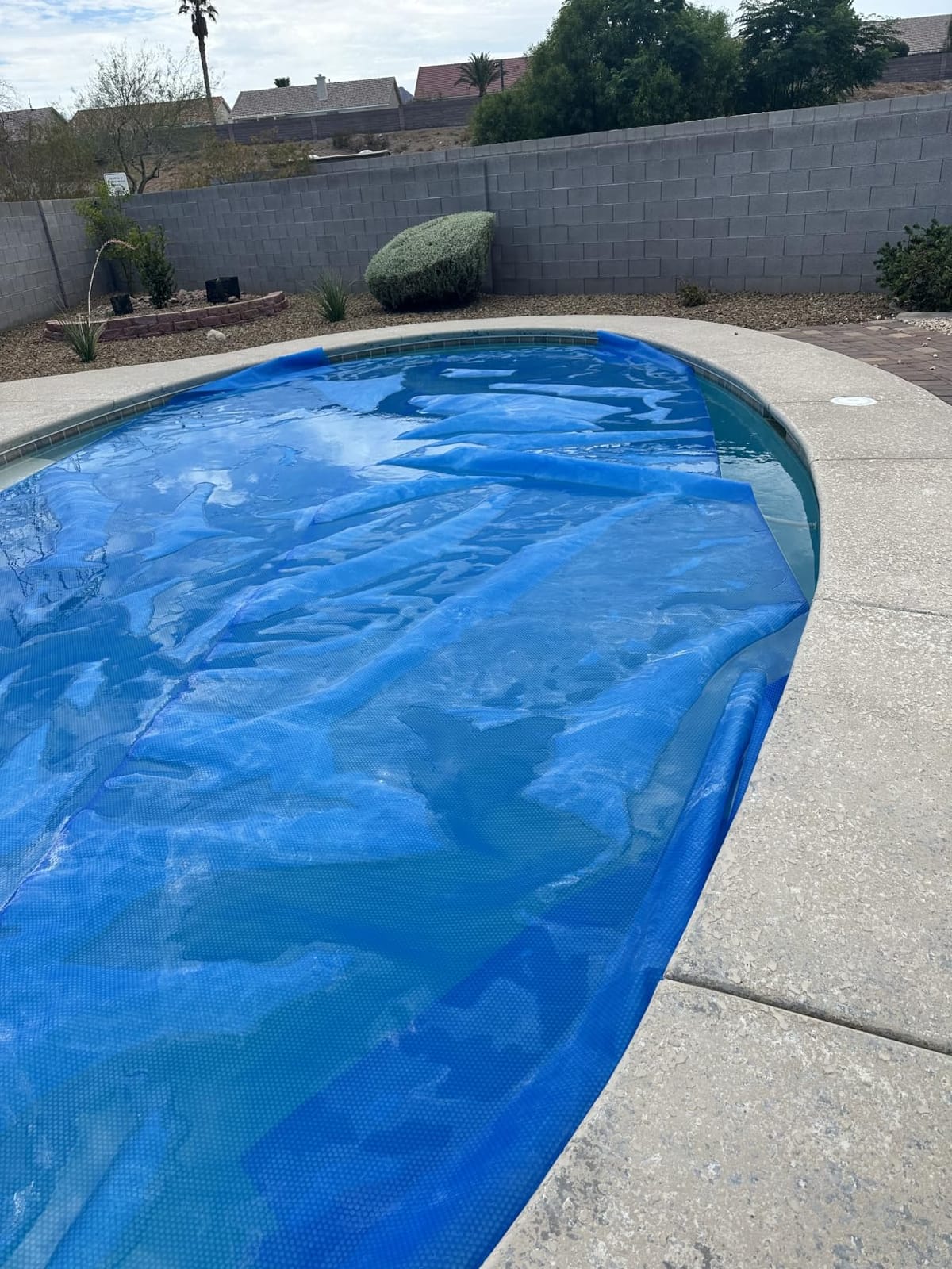 VEVOR Solar Pool Cover 32 x 16 ft 16 Mil Pool Bubble Cover Blue & Black | Solar Blanket with Dual Heat-Locking Air Layer for Pools, Daytime Heat Absorption, Nighttime Heat Retention, Cuttable Design customer photo 1