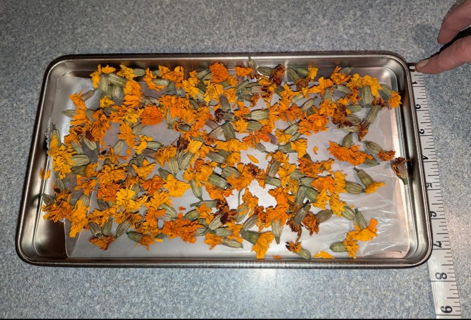 Metal Trays for Harvest Right Freeze Dryer, Medium Freeze Dryer Accessories | Compatible with Harvest Right Freeze Dryer Medium Trays (5 Pcs) + 18 Original Tray Stackers Included, 2-year warranty customer photo 1