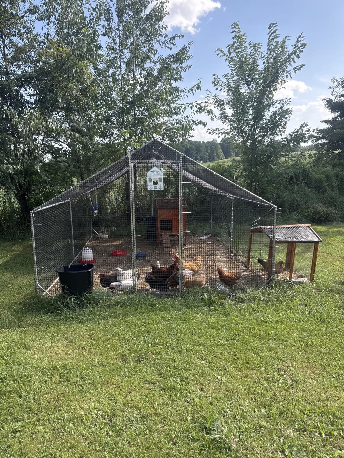 CAMMOO Walk in Chicken Coop, 9.8x6.6x6.6ft Chicken Run for Yard with Cover | Upgrade Double Lock & Mesh, Stainless Steel Ties, Easy Assembly, Chicken Pen for Ducks, Rabbits customer photo 2