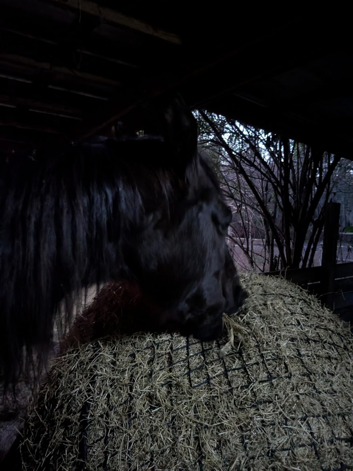 5x5 ft Round Bale Hay Net - Slow Feeder for Horses & Livestock, Extra Dense 2