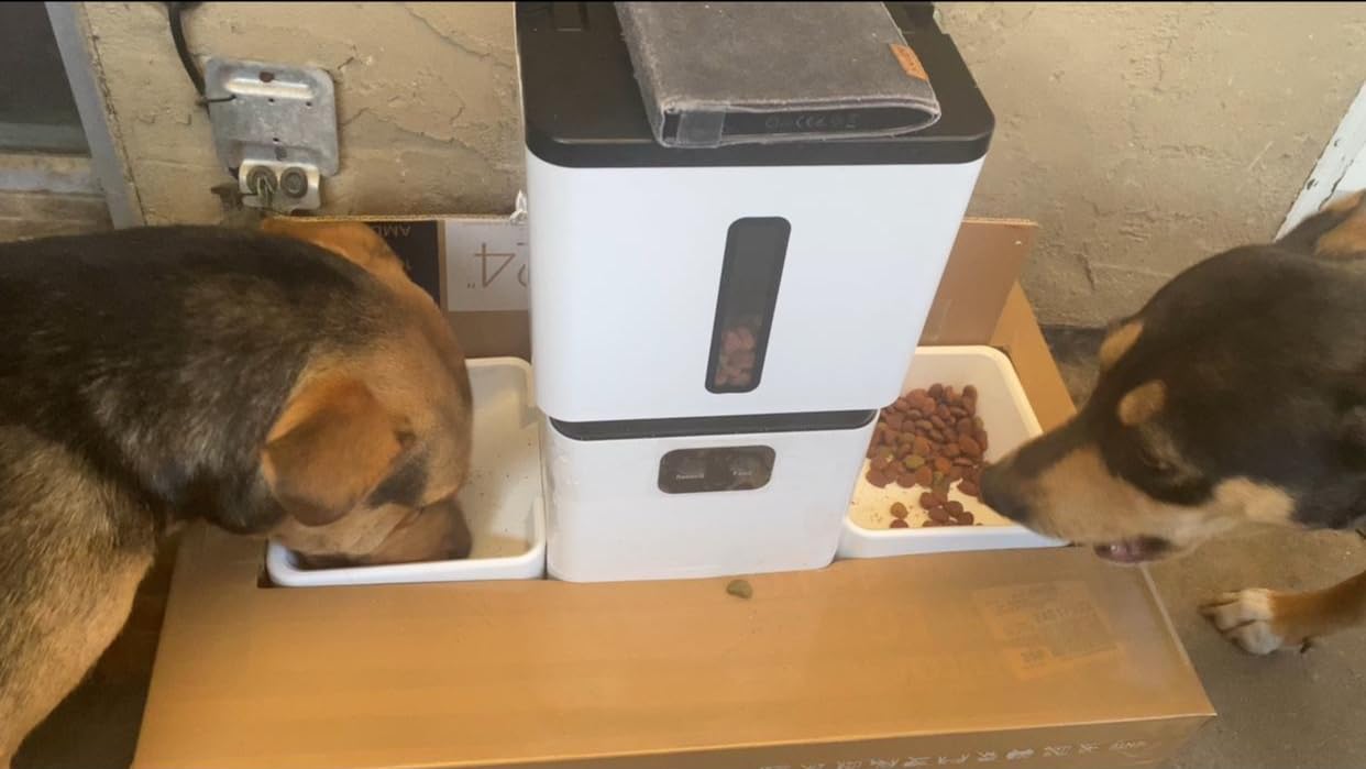 Yakry Automatic Cat Feeder for 2 Cats with Dual Bowls & Two HD Cameras | Easy Setup 5GHz Stable WiFi APP Control Cat Food Dispenser with IR Night Vision - 8L Pet Feeder for Multi-Cat & Small Dogs customer photo 1