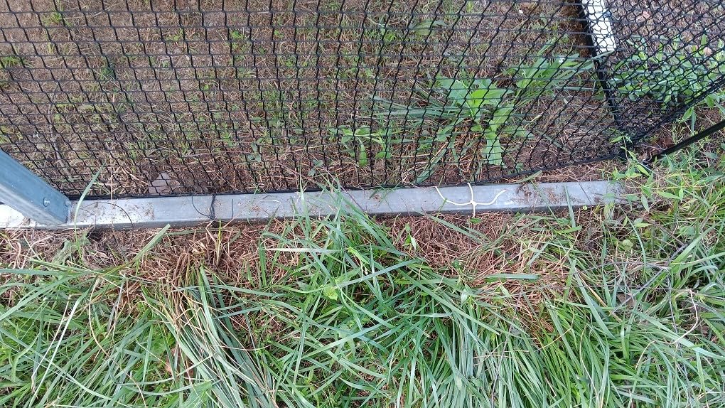 Baseball Batting Cage Net for Backyard Softball Portable Pop Up Cage | 22x12x8 Ft Outdoor Indoor Hitting Cage with Pitching Machine Hole and Detachable Door customer photo 2