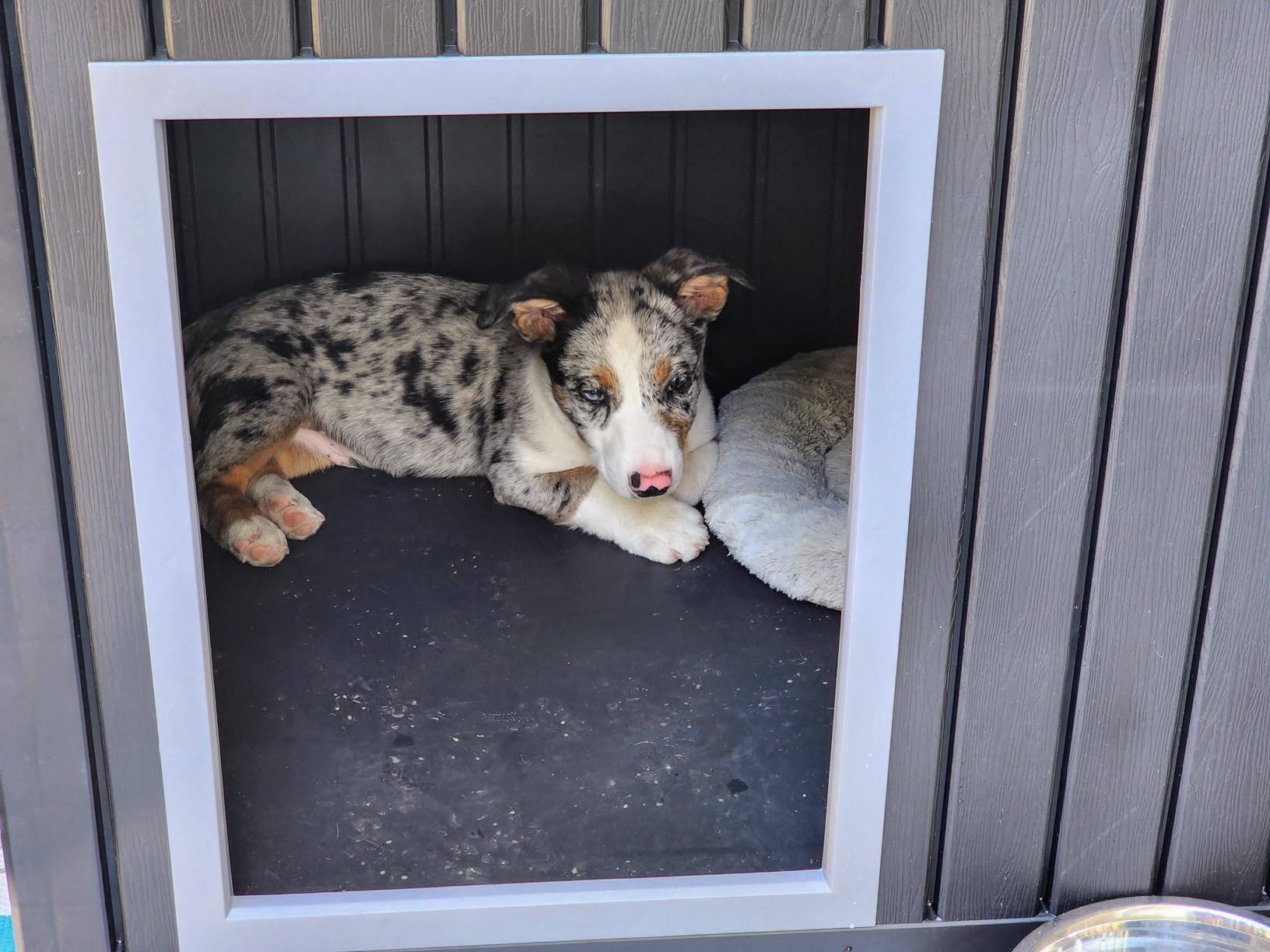 DRATO Dog House, Weatherproof Resin Outdoor Dog House for Large Dogs, Sloped Openable Roof, Air-Rod Support & Fixed Louvered Structure, Spacious Interior Easy Assembly Pet Shelter Indoor Outdoor (Grey) customer photo 1