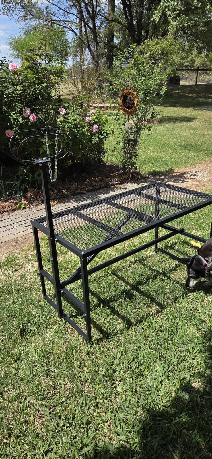 Goat Milking Stand for Trimming Hooves, 47x23