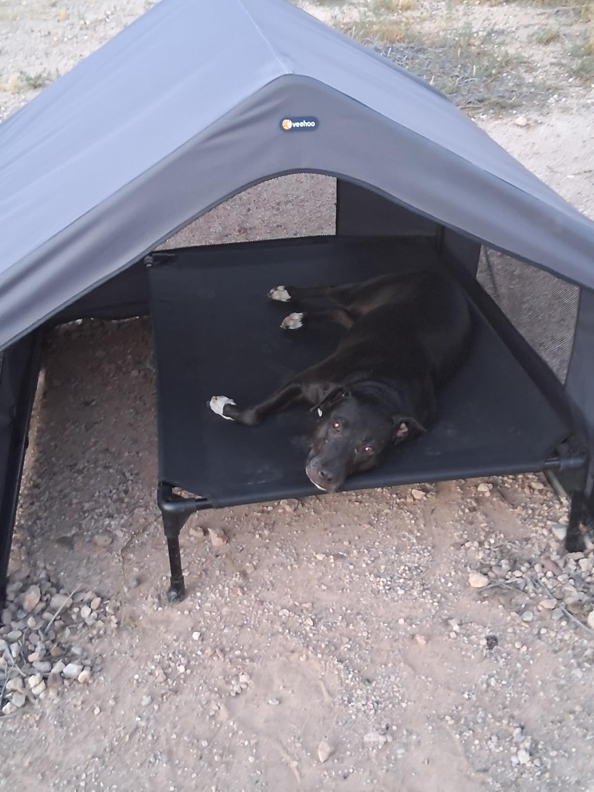 Veehoo Extra Large Dog House Outdoor Includes Elevated Dog Bed-Weatherproof | Waterproof Outside Dog Tent 4.1' x 4.1' x 3.3', Dog Shade Shelter and Raised Bed Combo for Pets or Stray Animals, Grey customer photo 2