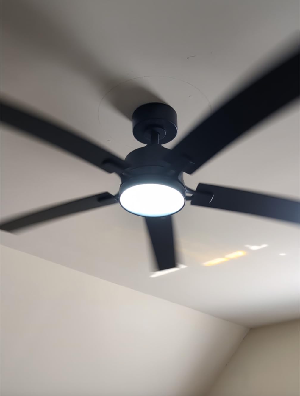 52 Inch Ceiling Fan with Lights, APP & Remote Control, DC Motor | Dimmable LED, 3CCT, Memory Function, Dual-Finish Reversible Blades, Damp Rated, 6 Speeds, Timer, Living Room, Bedroom, Covered Patio customer photo 1