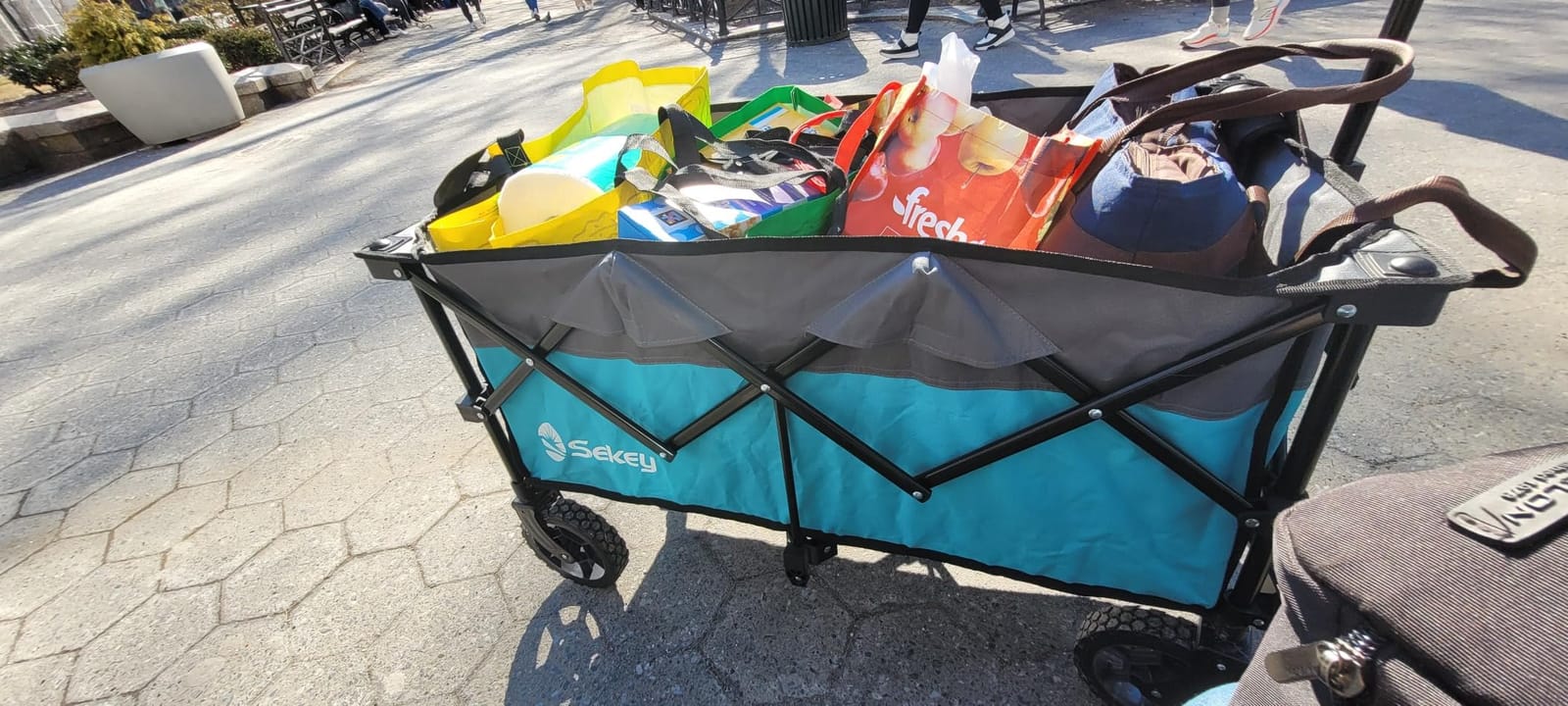 Sekey Beach Wagon with 12