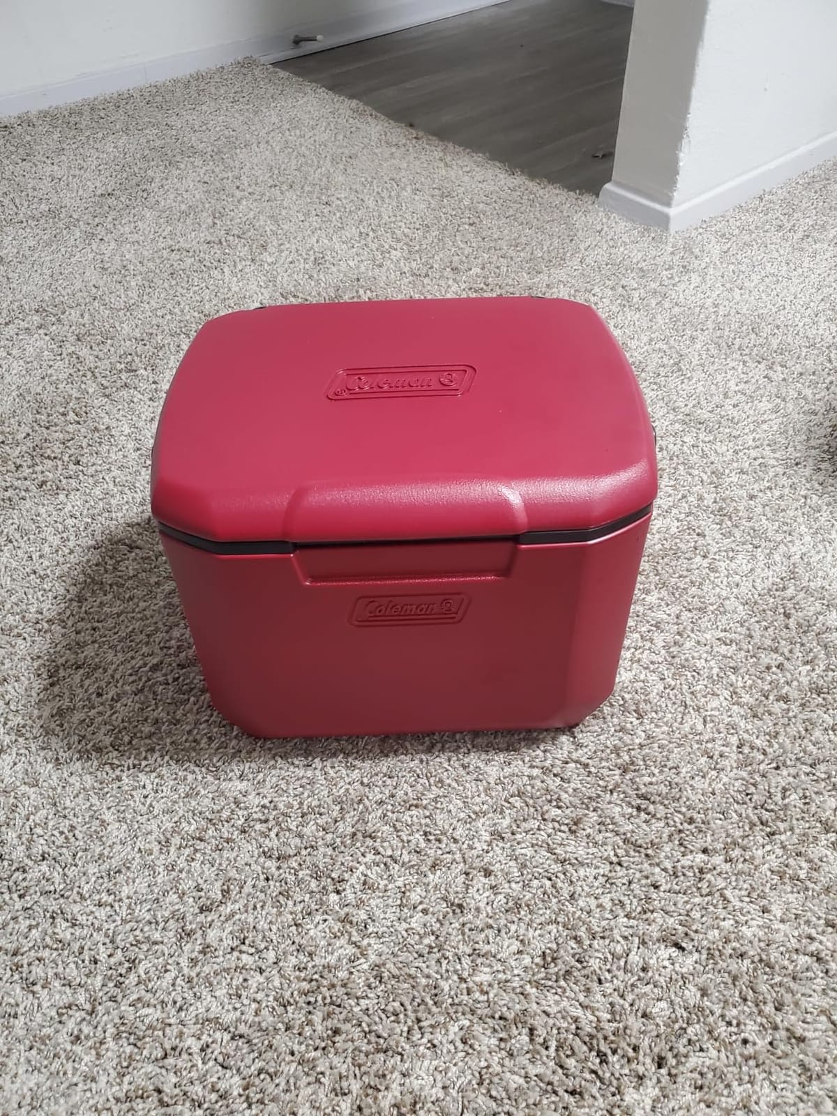 Coleman Chiller 9/16/30/48/60qt Cooler with Ice Retention, Leak Resistant, Great for Camping, Concerts, Sports, and More customer photo 1